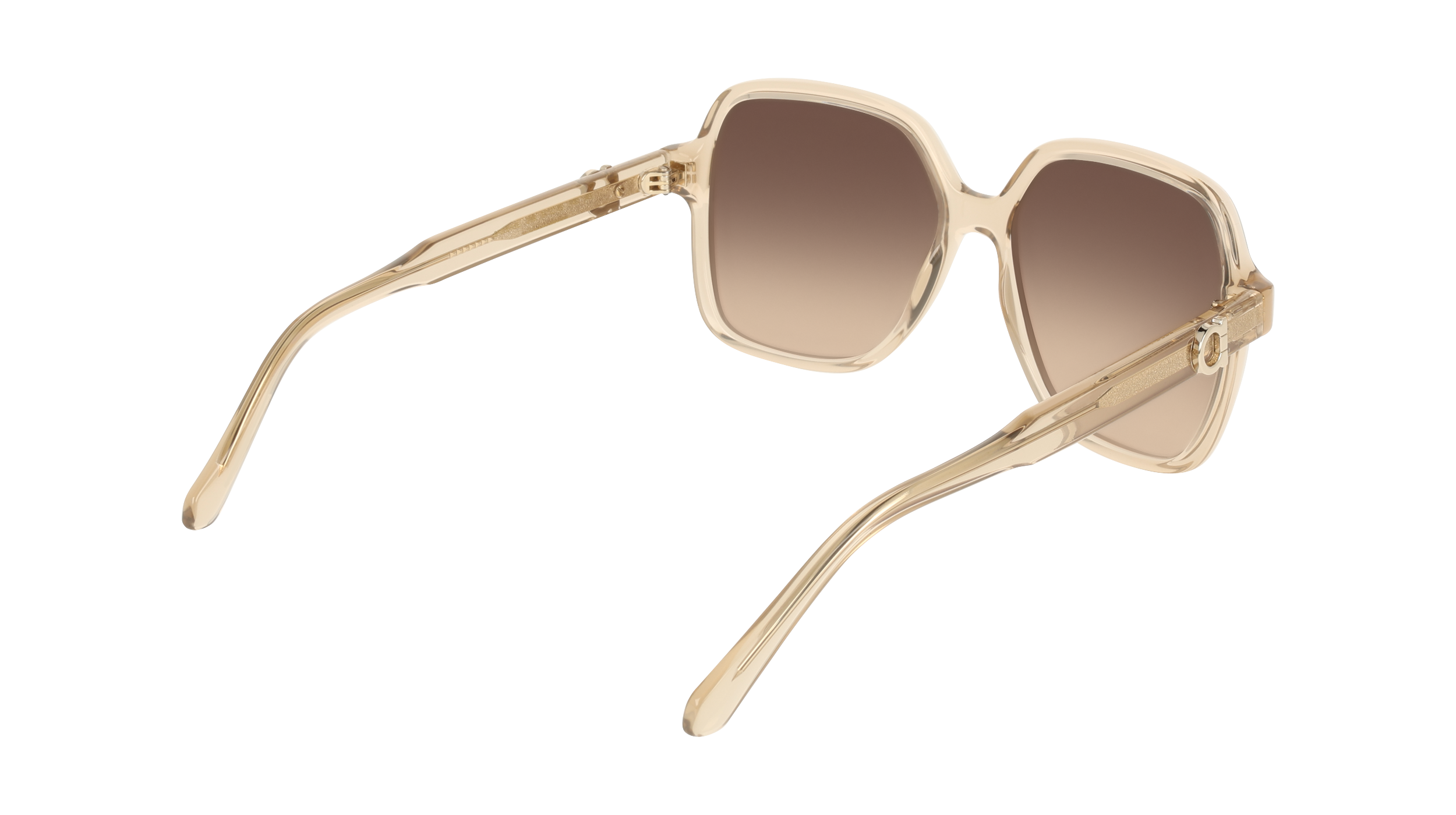 SF2069SE 259 Occhiali da sole Ferragamo 6