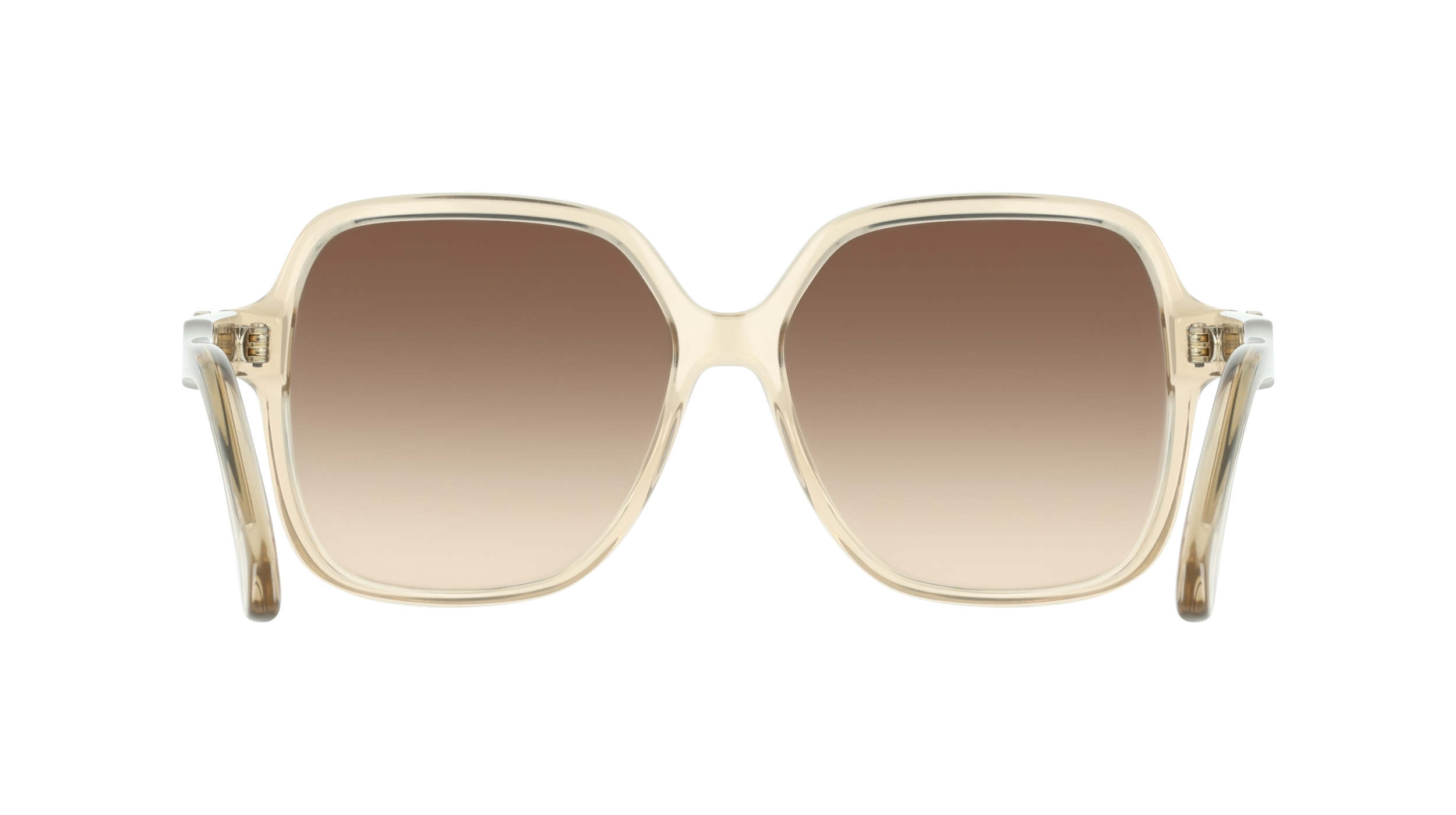 SF2069SE 259 Occhiali da sole Ferragamo 5
