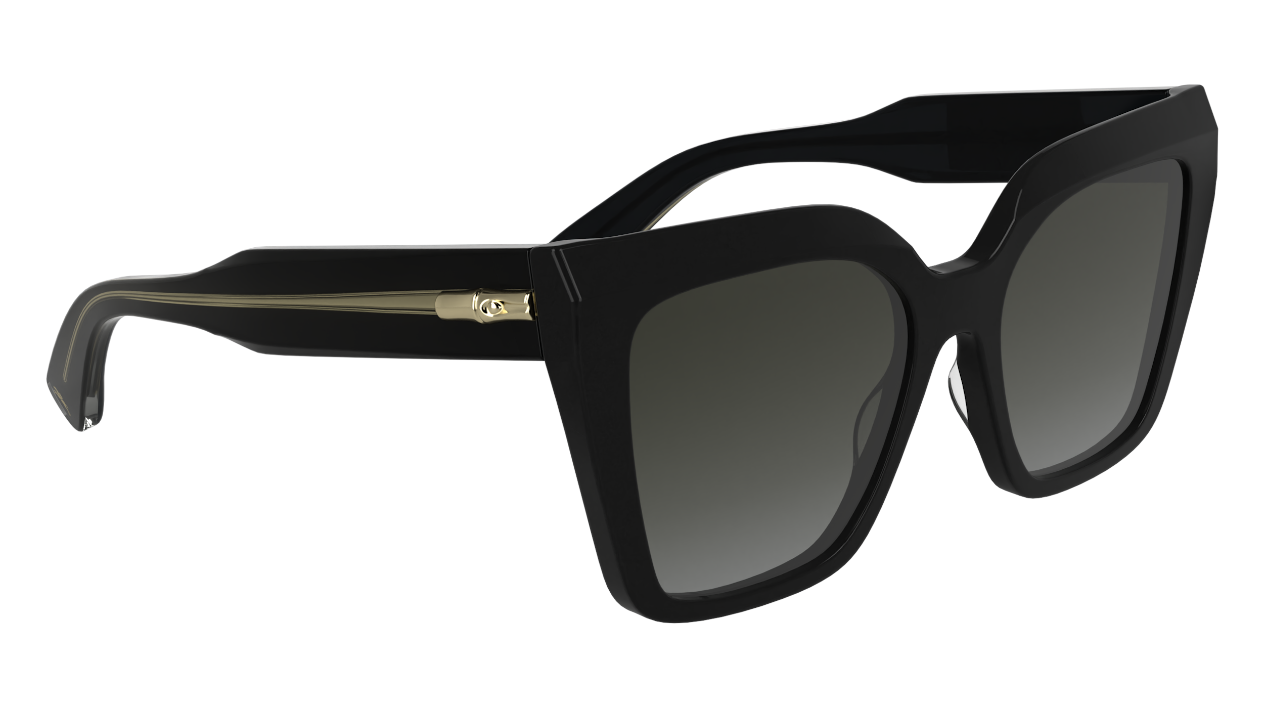 LO778S 1 Occhiali da sole LONGCHAMP 8