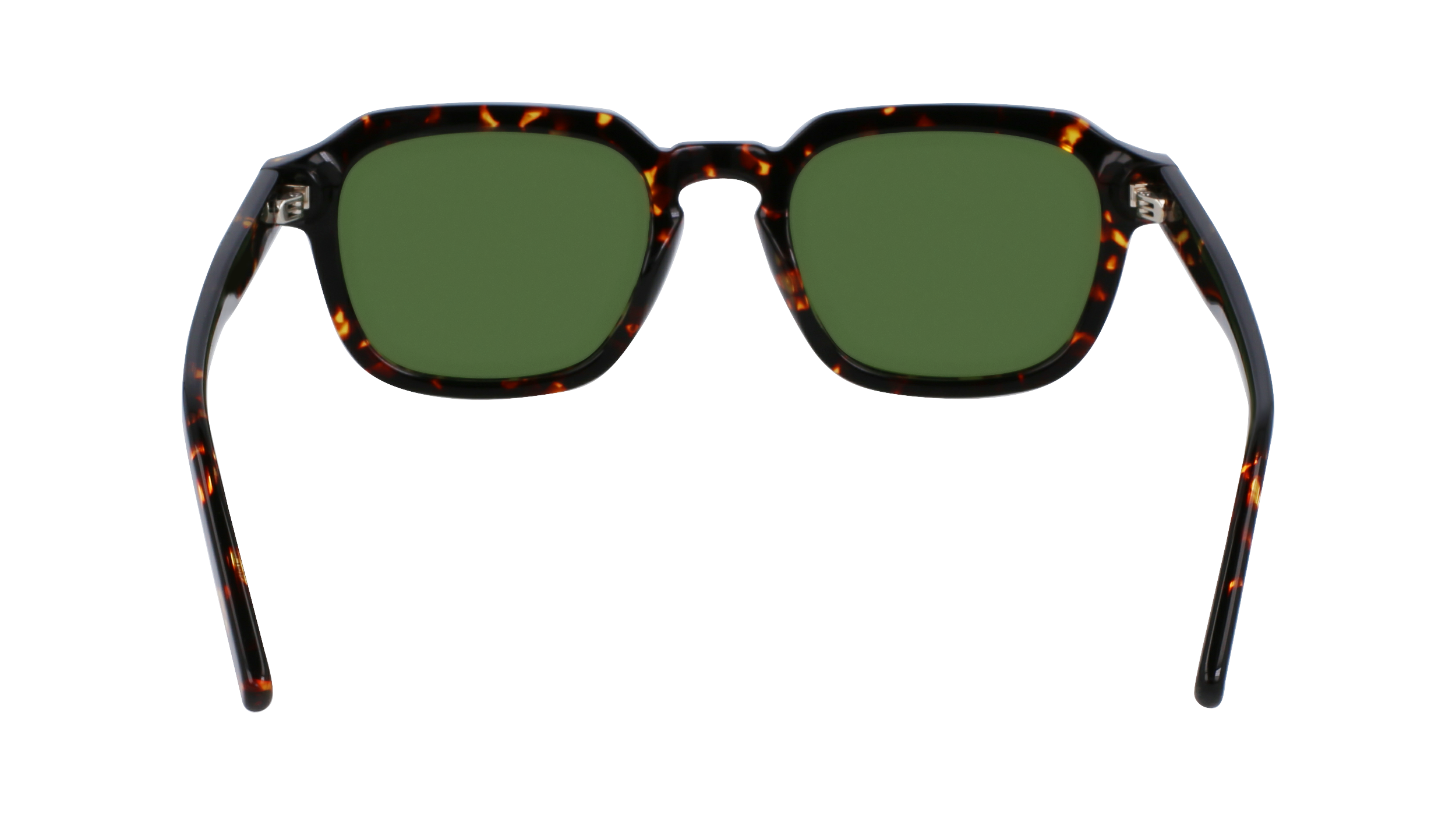 SF1089SN 219 Occhiali da sole Ferragamo 6