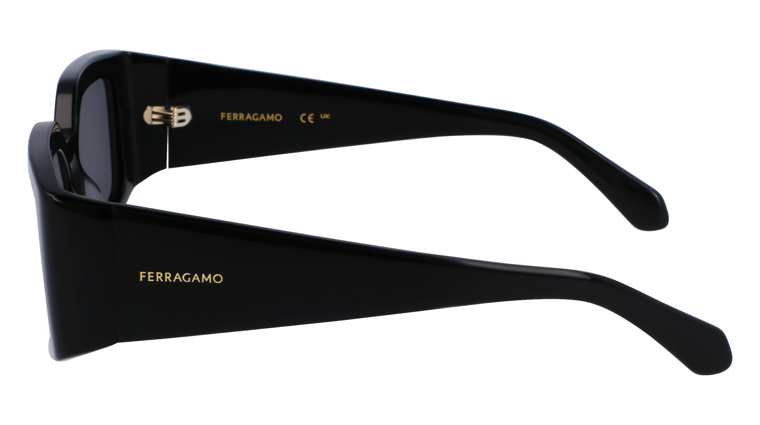 SF1101S 001 Occhiali da sole Ferragamo 6