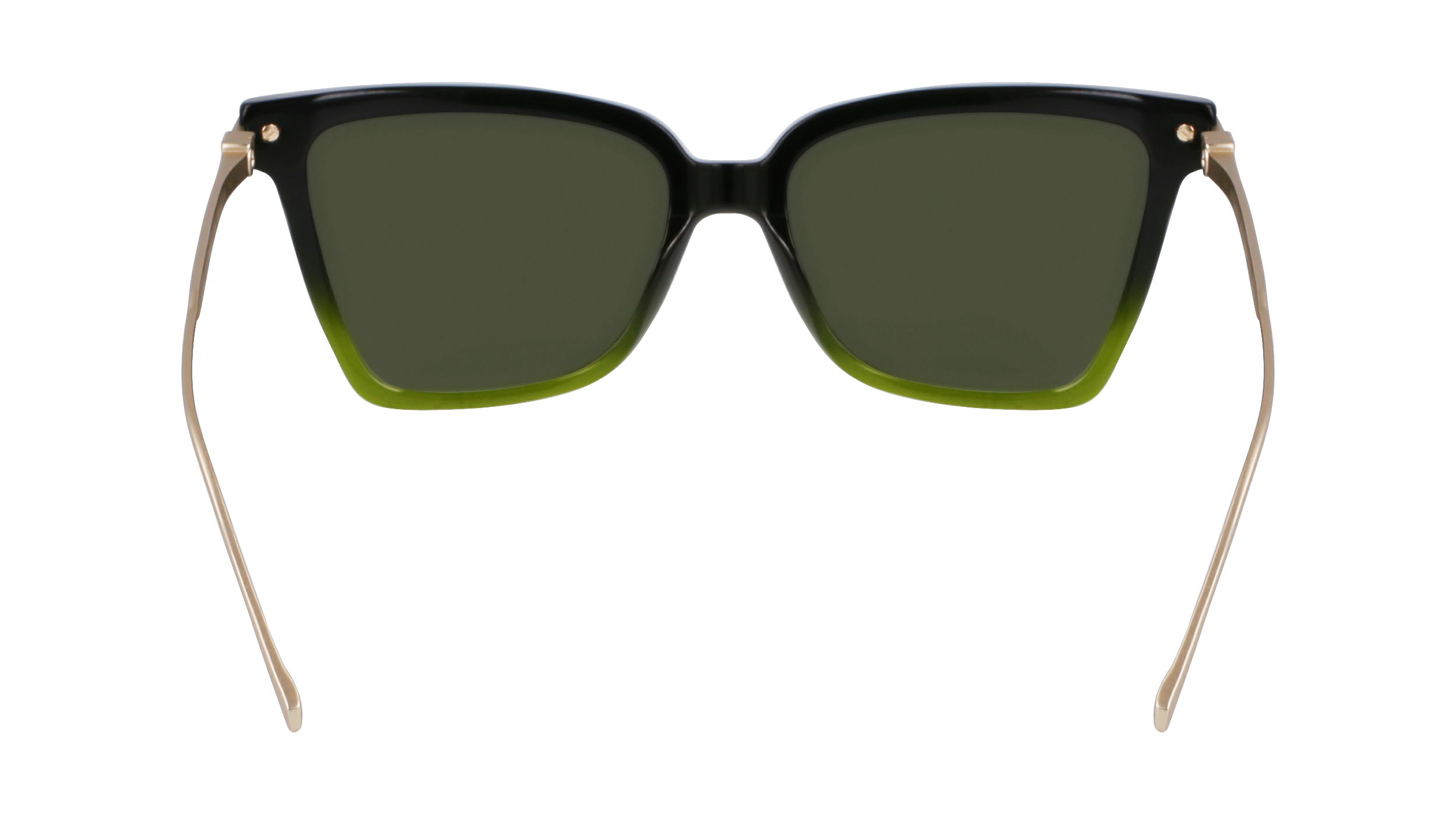 SF2036S 316 Occhiali da sole Ferragamo 6