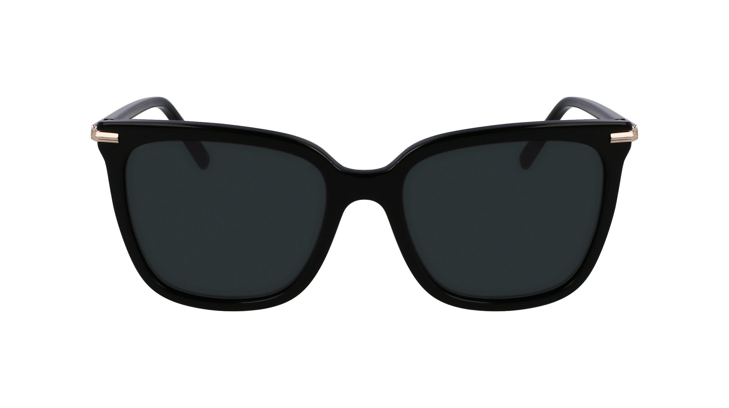 SF2037S 001 Occhiali da sole Ferragamo 2