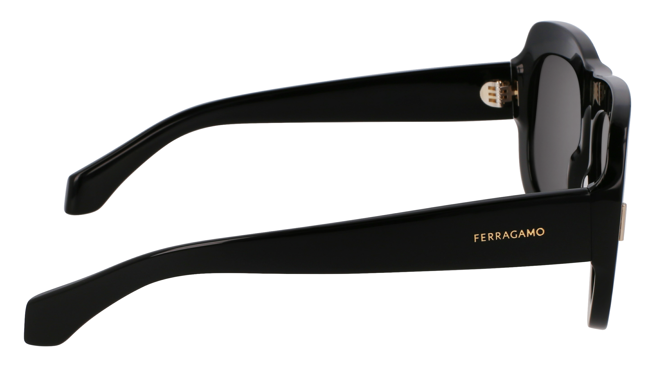 SF2029SE 001 Occhiali da sole Ferragamo 7