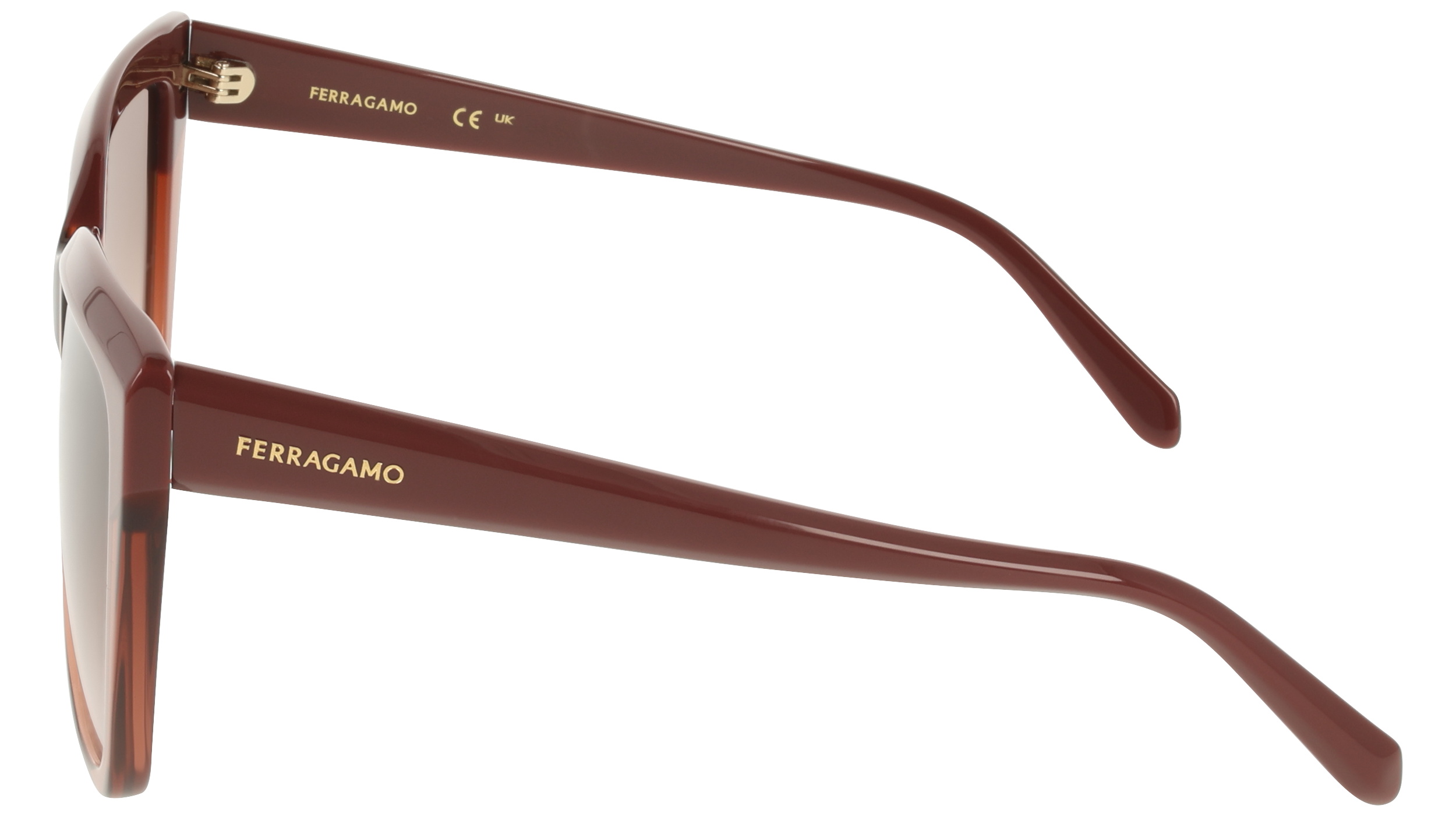 SF1102S 619 Occhiali da sole Ferragamo 3