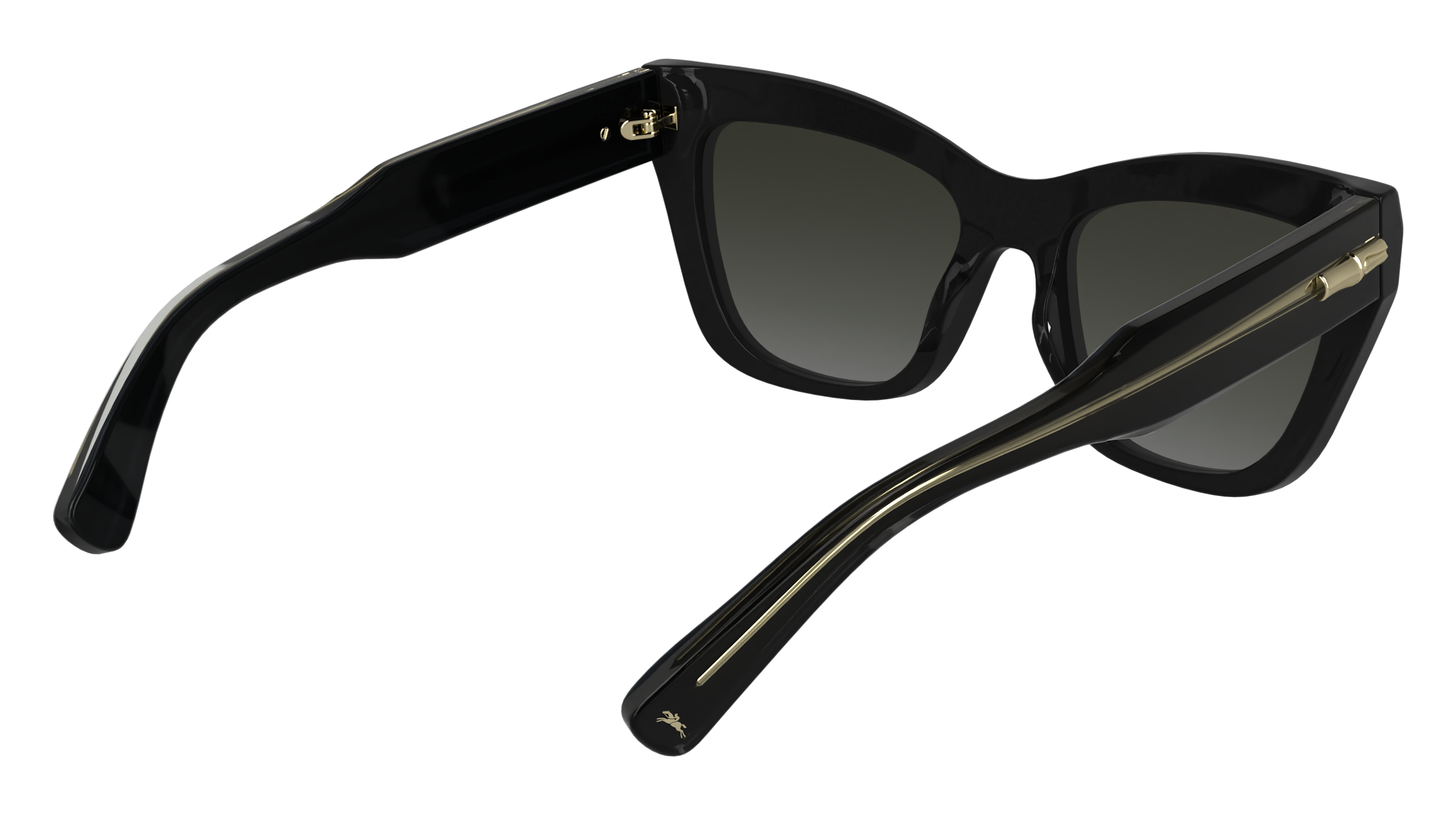 LO777S 1 Occhiali da sole LONGCHAMP 6