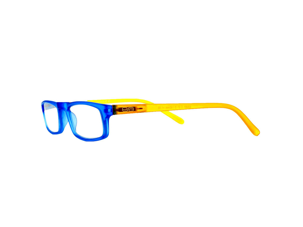 ER461 Occhiali da lettura Easy Reading + 1,25 000026091006 2