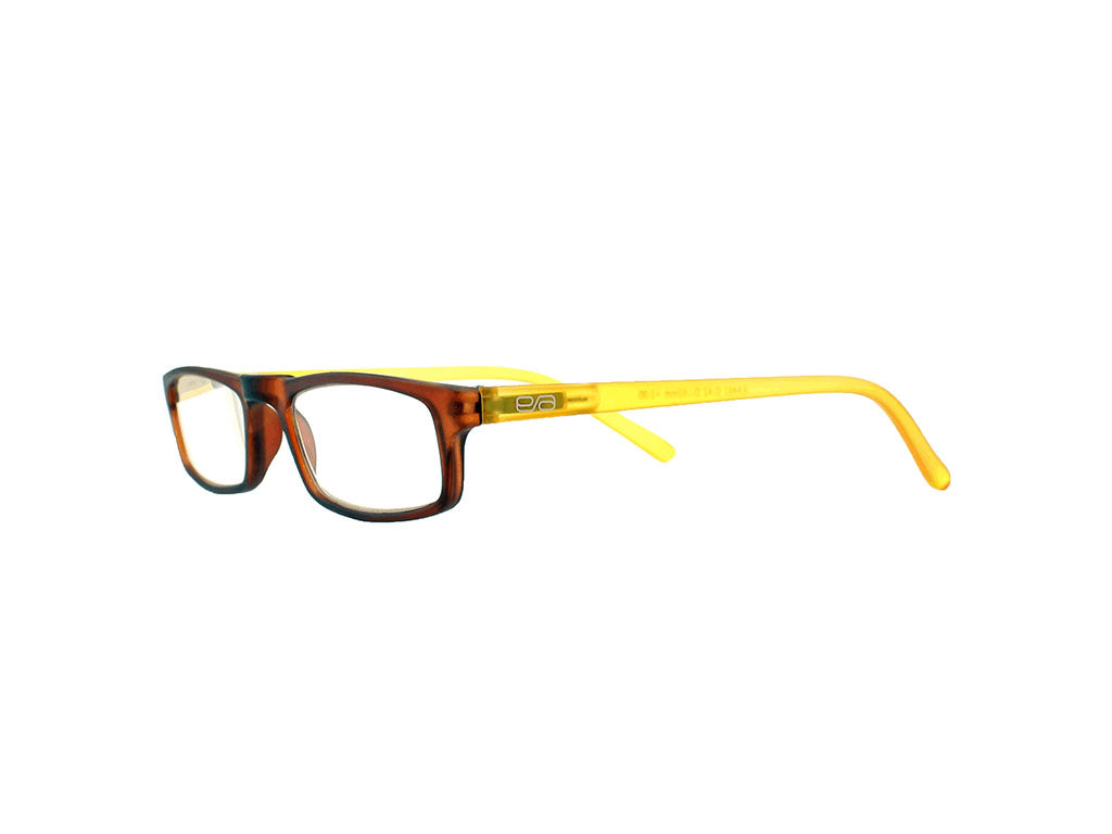 ER461 Occhiali da lettura Easy Reading + 1,00 000025576009 5