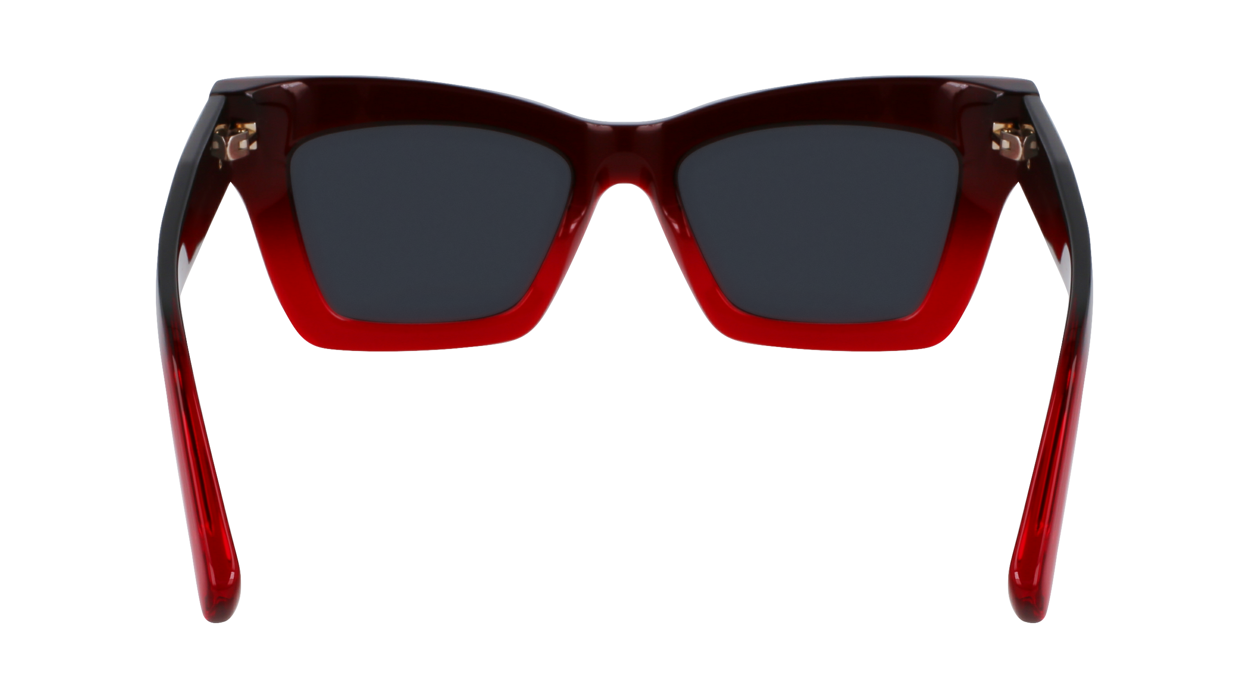 SF2031S 615 Occhiali da sole Ferragamo 6