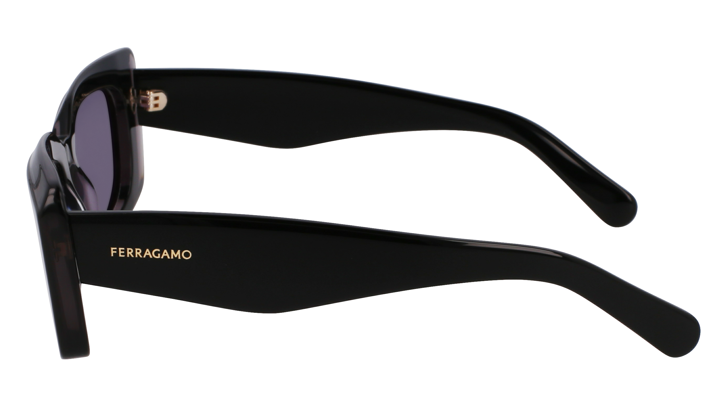 SF1079SN 022 Occhiali da sole Ferragamo 4