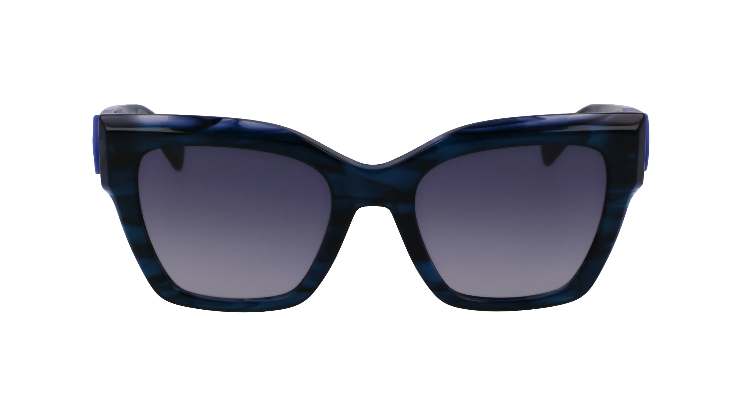 LO762S 407 Occhiali da sole LONGCHAMP 2
