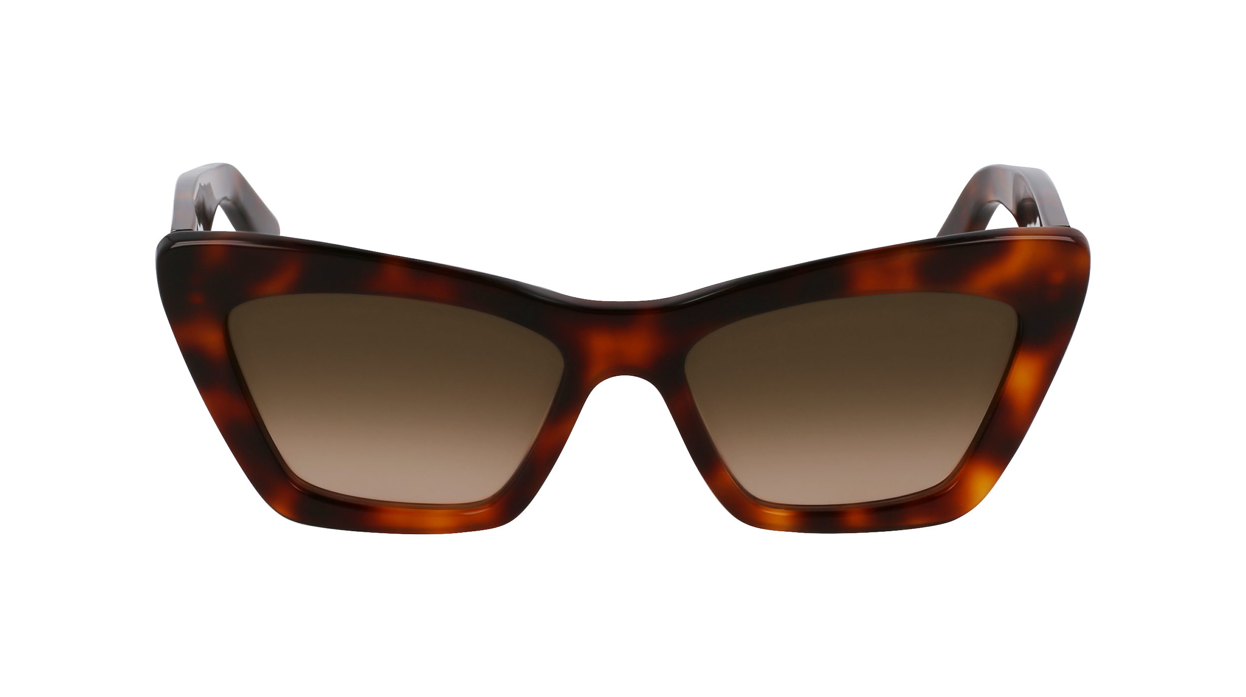 SF929SN 219 Occhiali da sole Ferragamo 2
