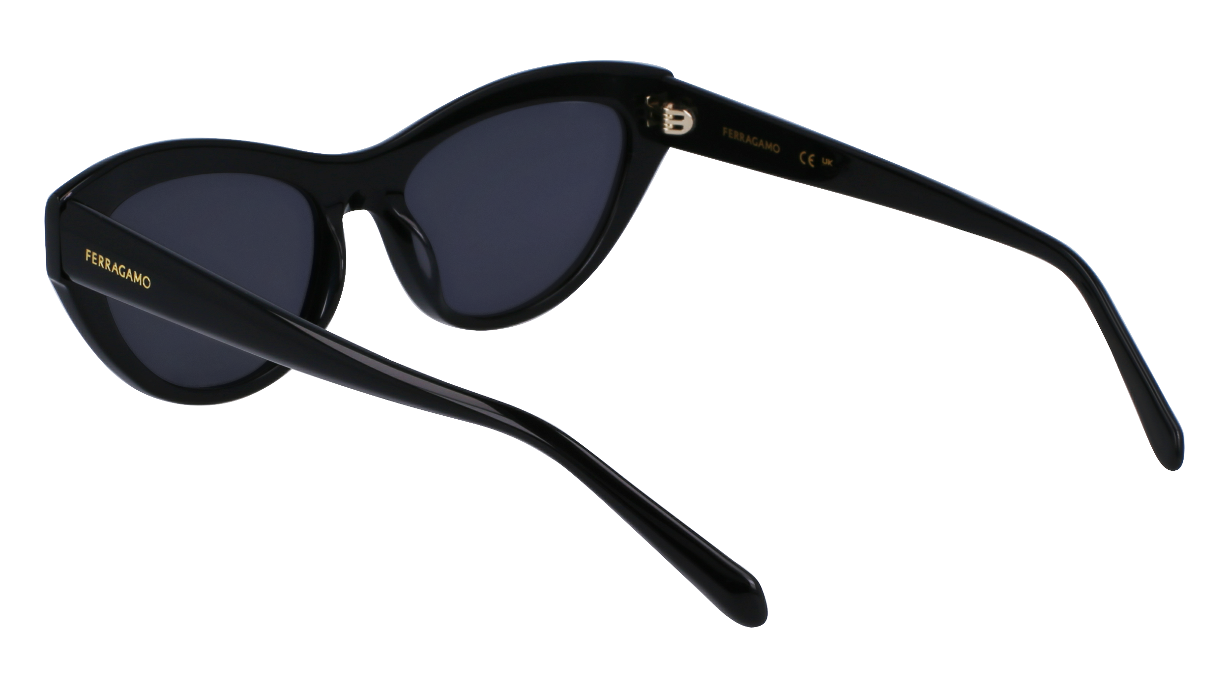 SF1103S 001 Occhiali da sole Ferragamo 3