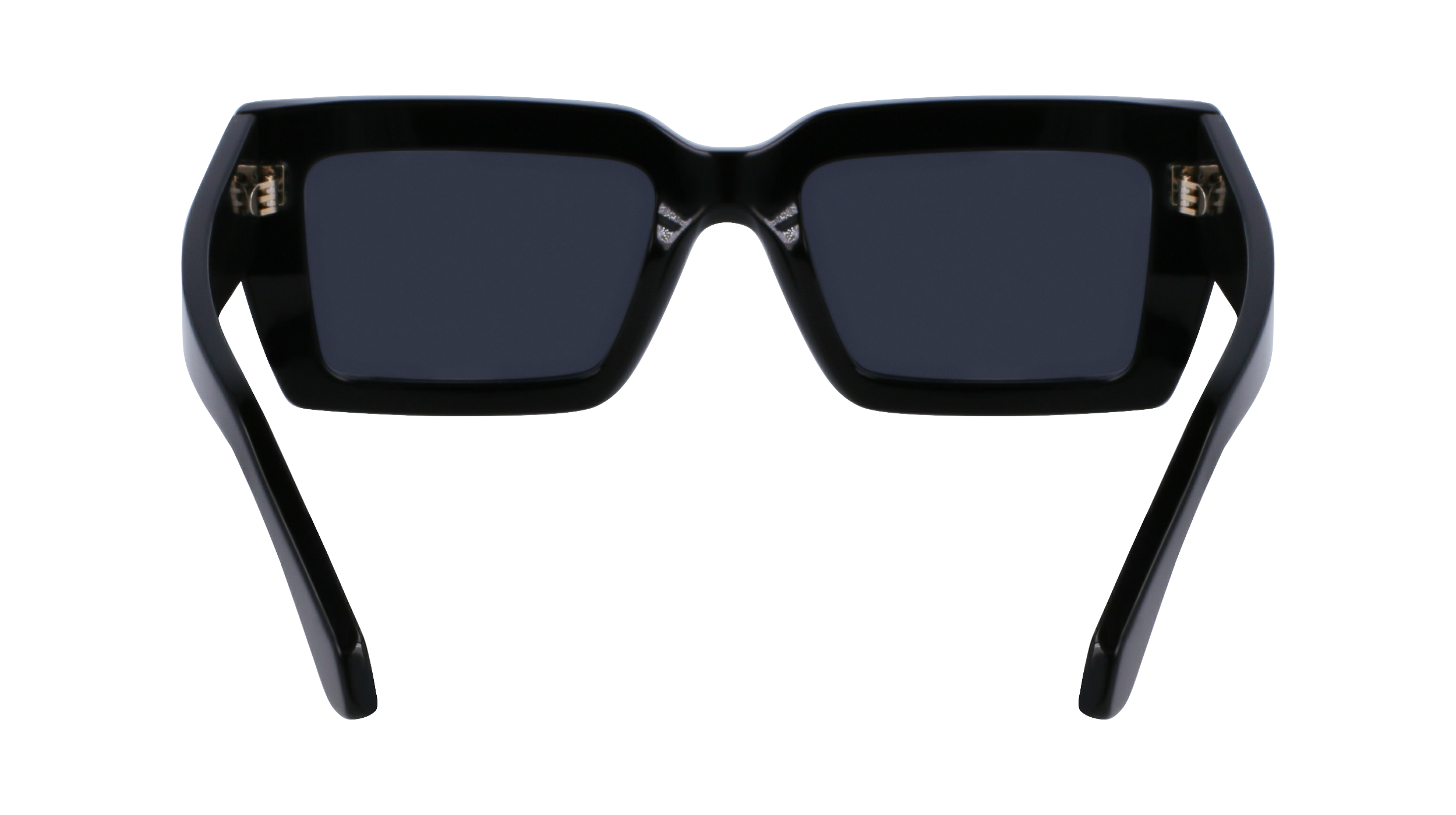 SF1108S 001 Occhiali da sole Ferragamo 10