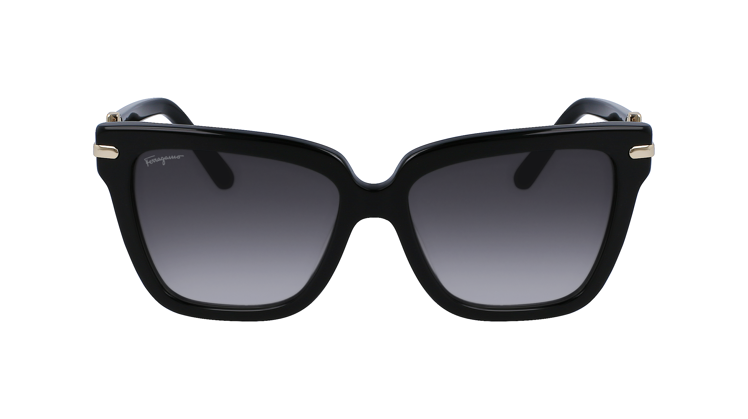 SF1085S 11 Occhiali da sole Ferragamo 3