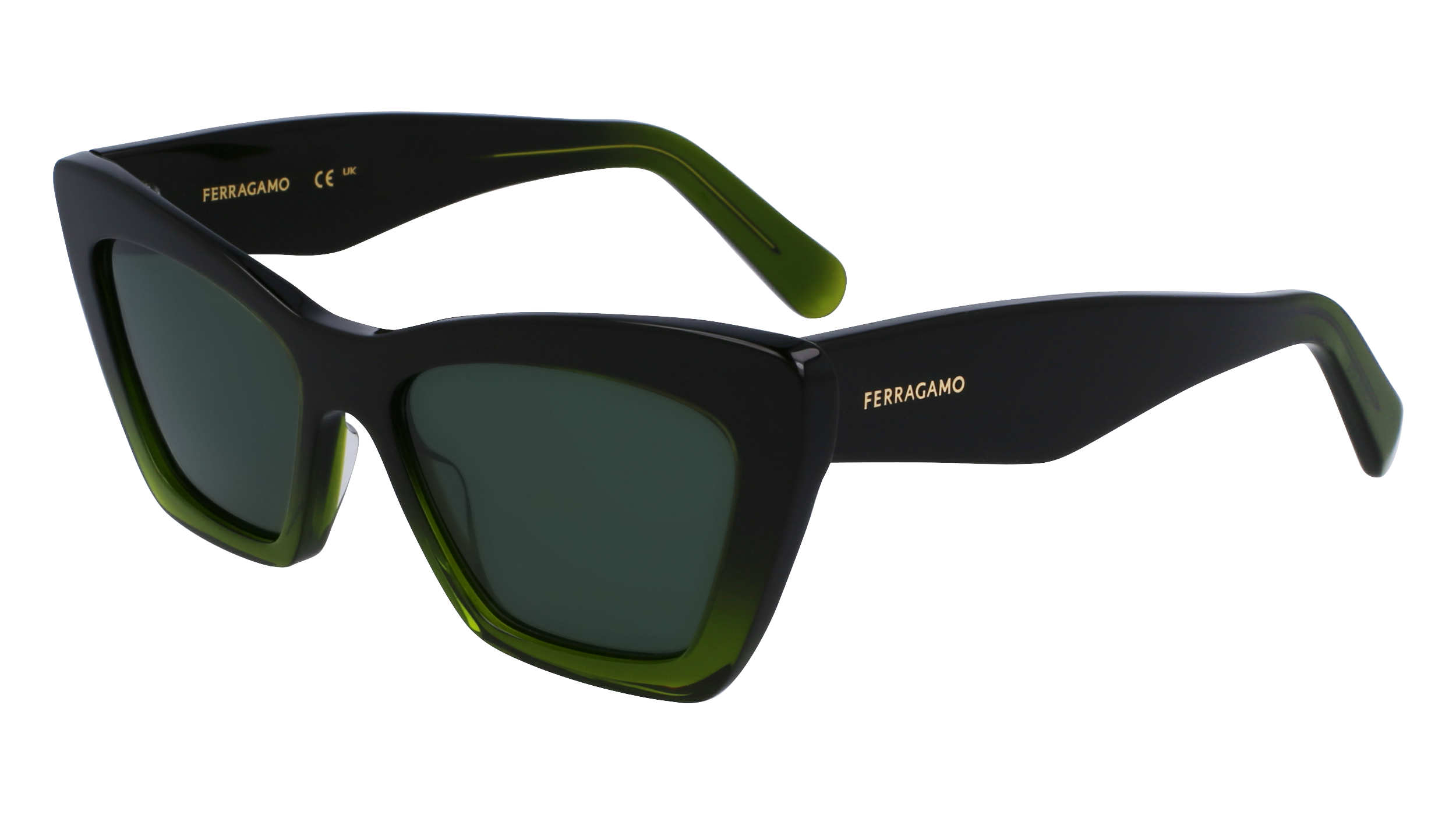 SF929SN 316 Occhiali da sole Ferragamo 1