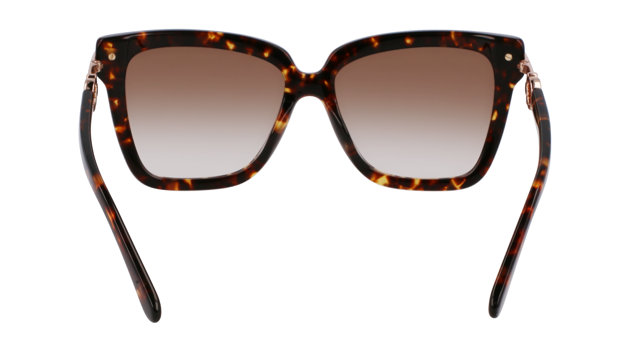 SF1085SN 219 Occhiali da sole Ferragamo 6