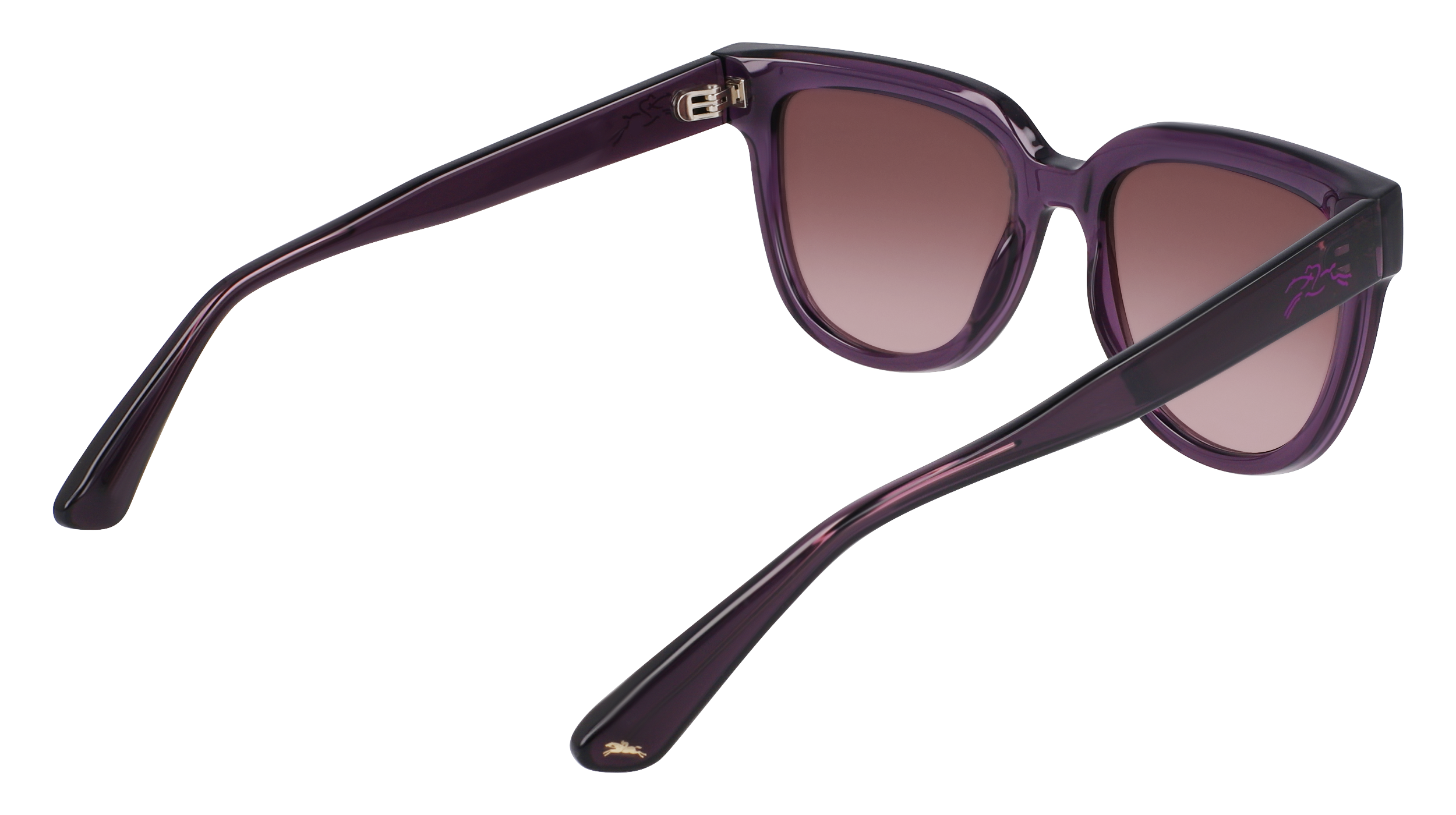 LO755S 501 Occhiali da sole LONGCHAMP 5