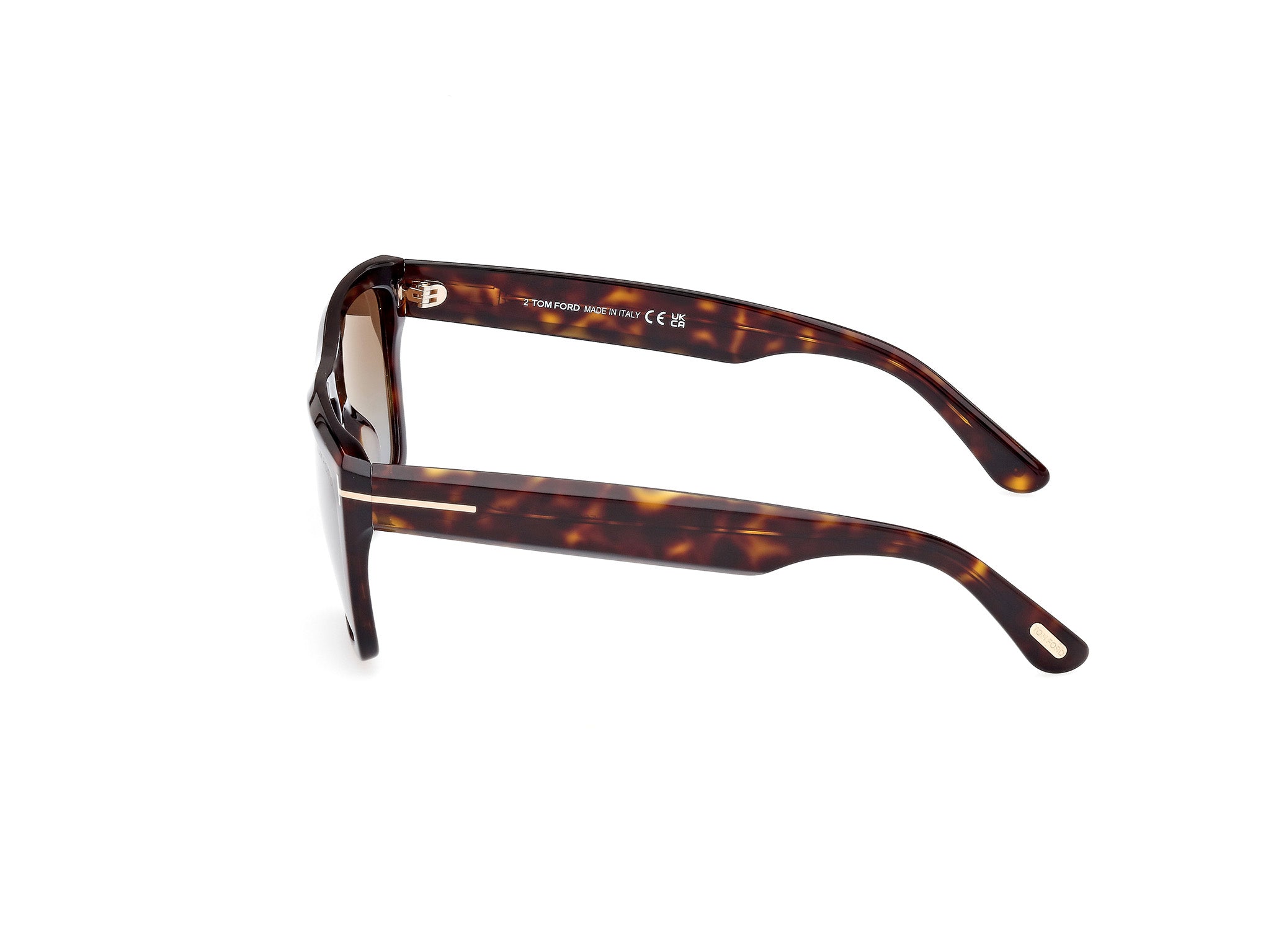 FT1077 ALBERTO 52F Occhiali da sole TOM FORD 2