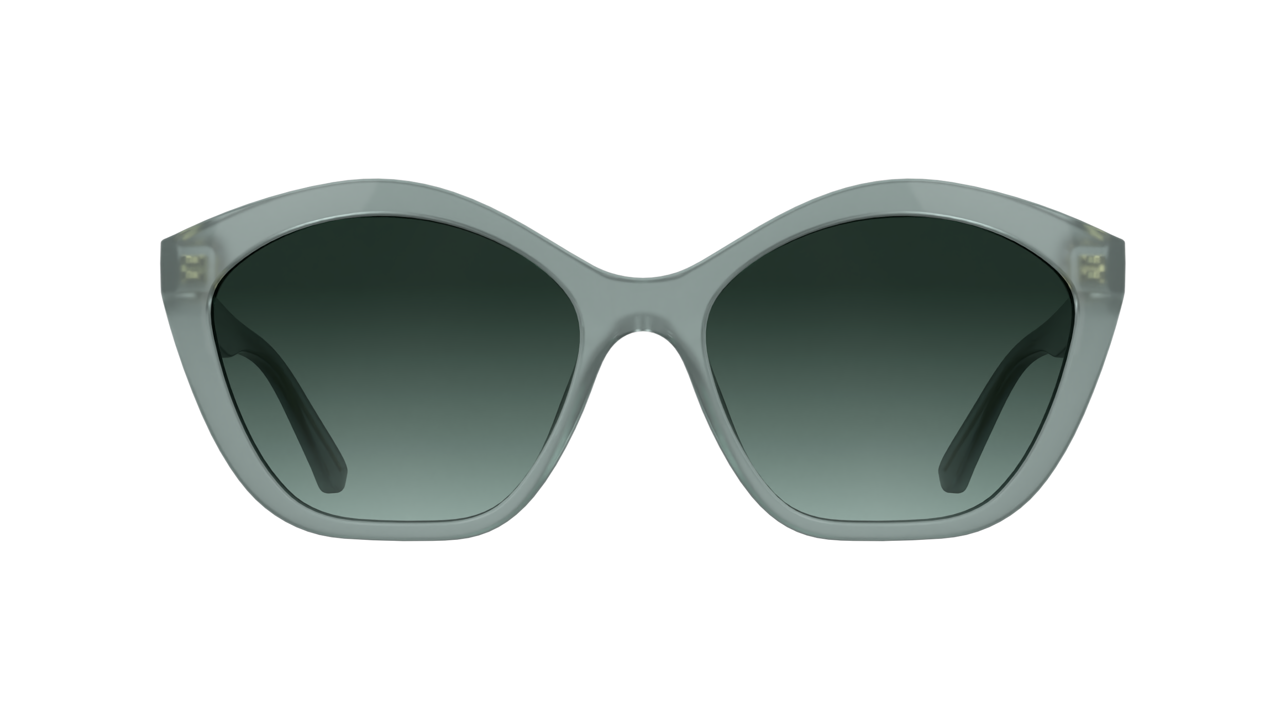 Karl Lagerfeld KL6222S 450