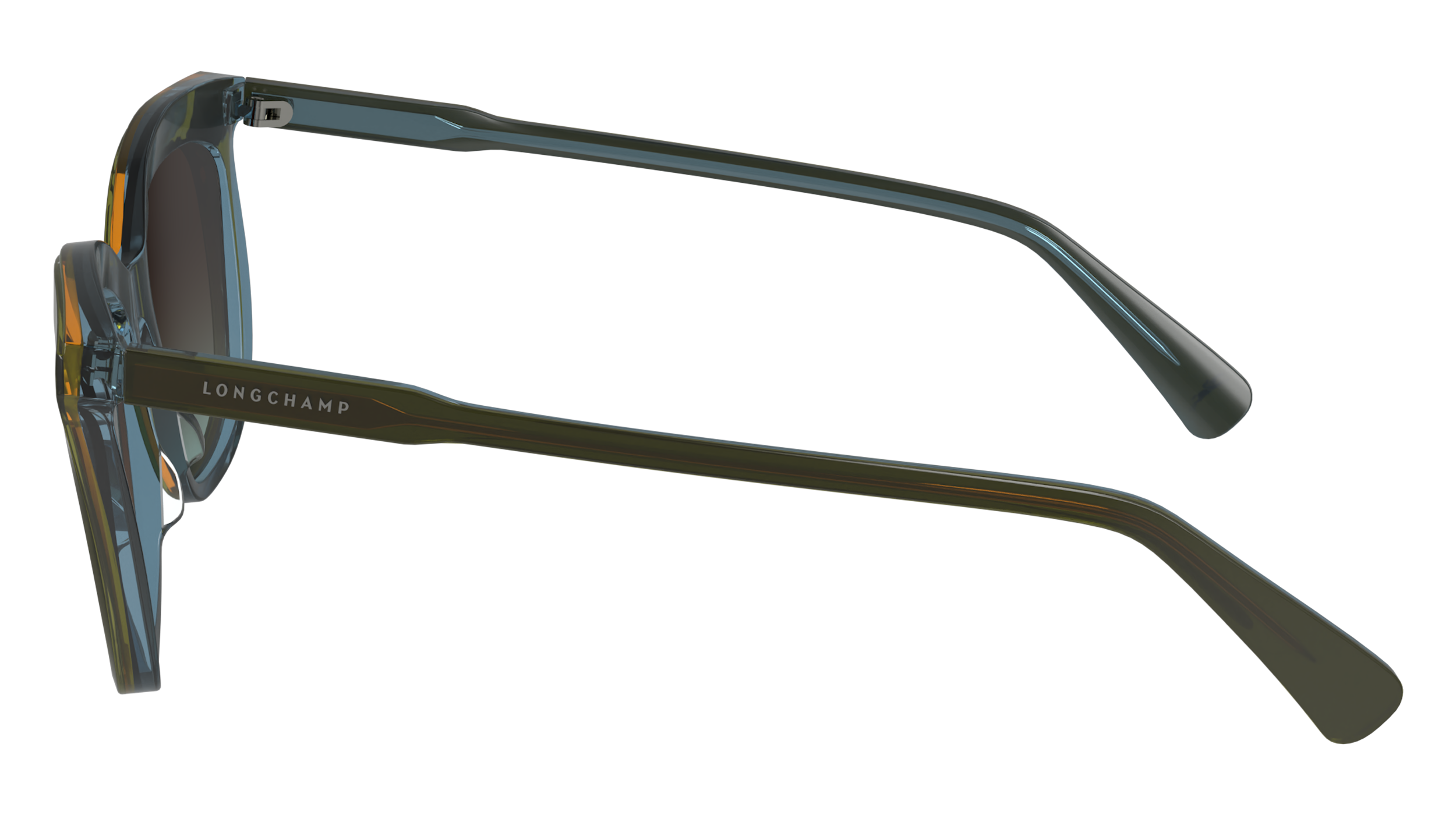 LO738S 310 Occhiali da sole LONGCHAMP 6