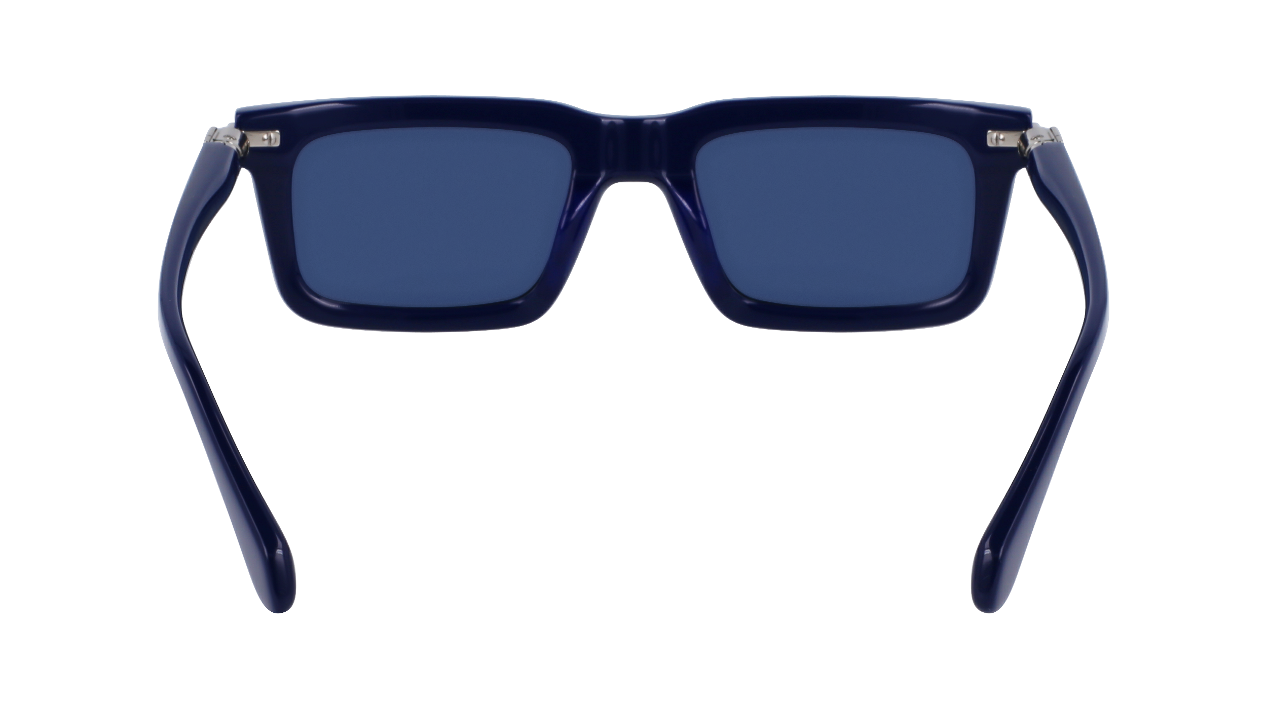SF2015S 414 Occhiali da sole Ferragamo 6