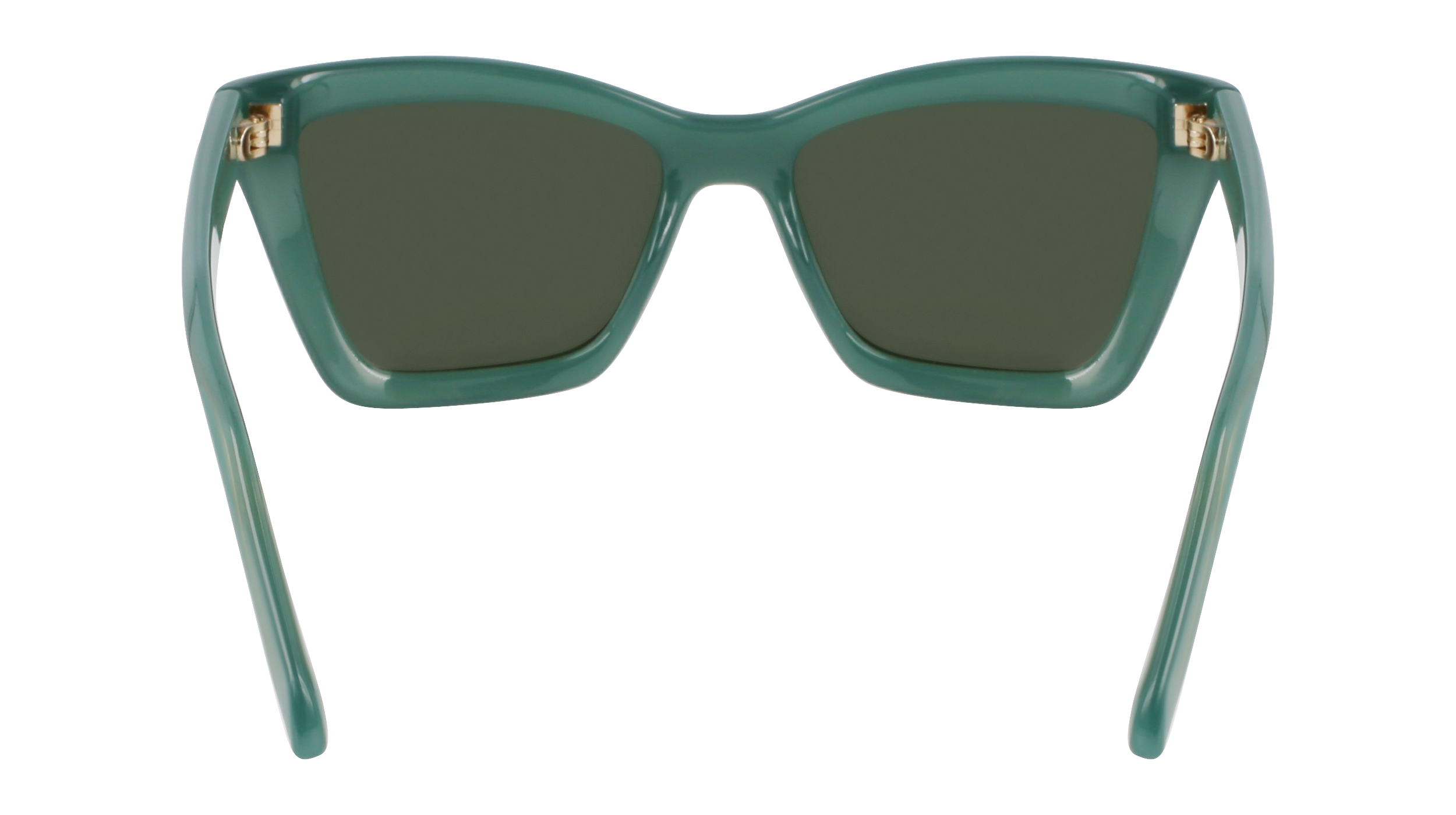 SF2039SE 339 Occhiali da sole Ferragamo 6