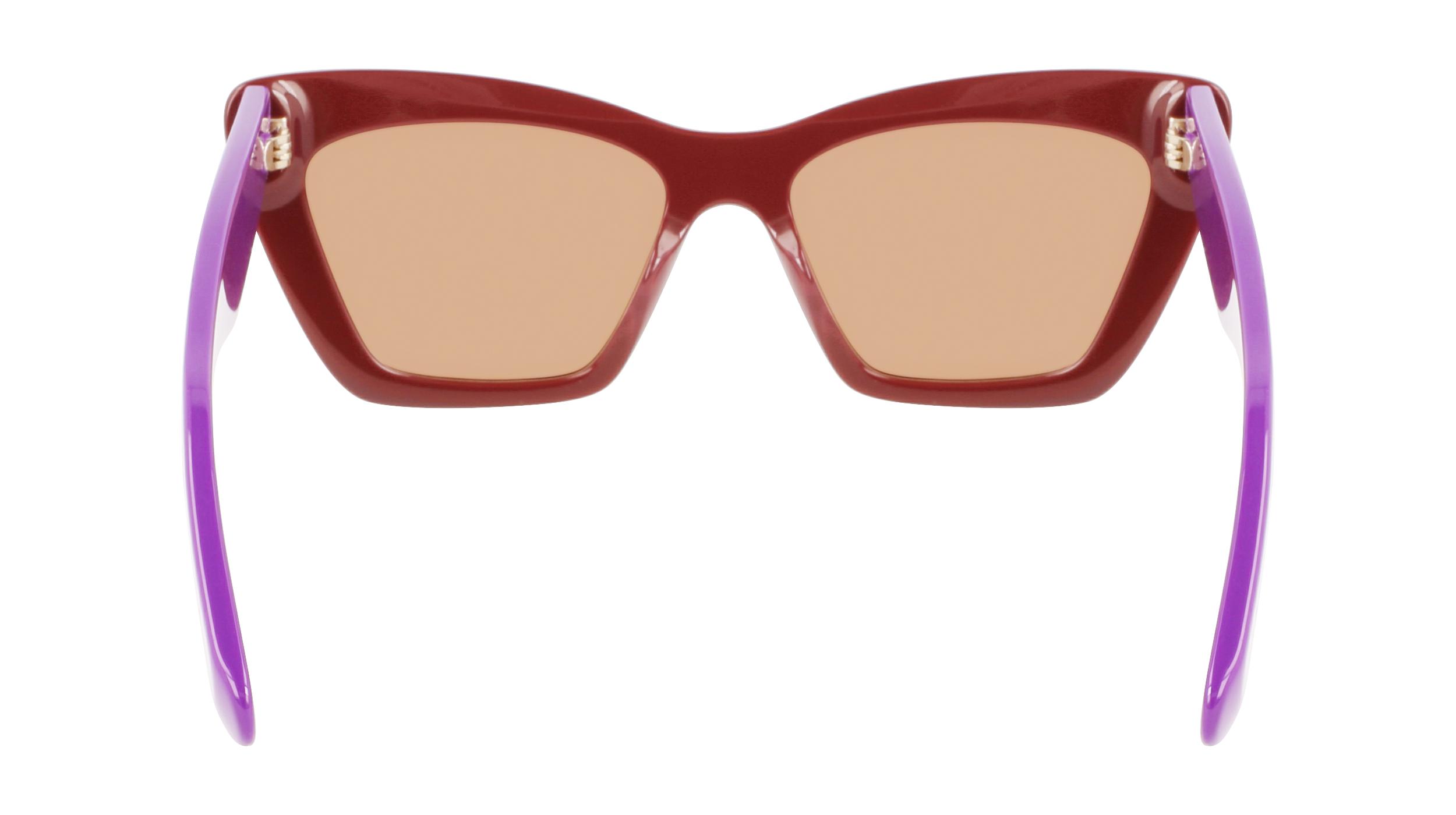SF929S 209 Occhiali da sole Ferragamo 6