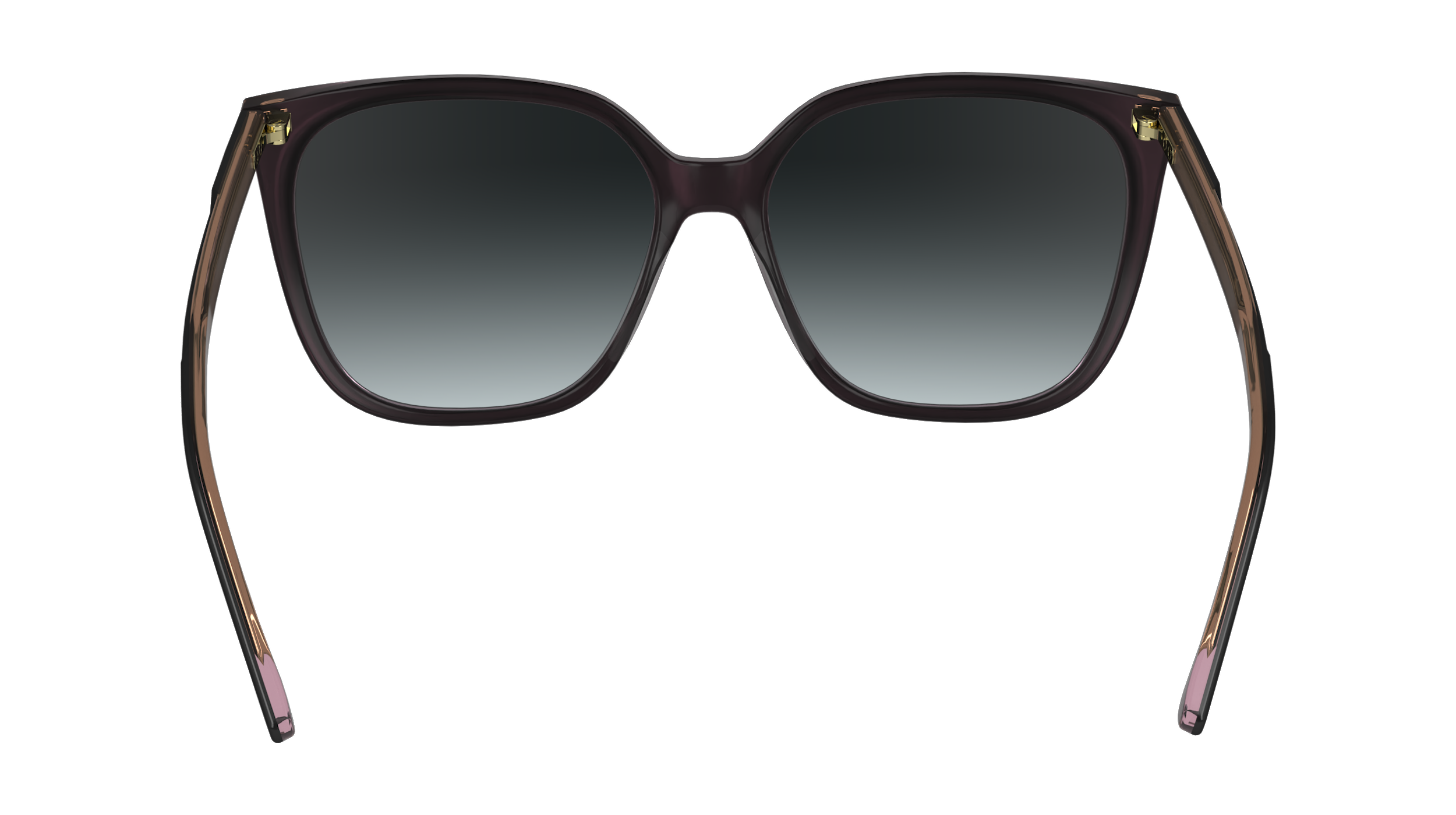 CK24509S 012