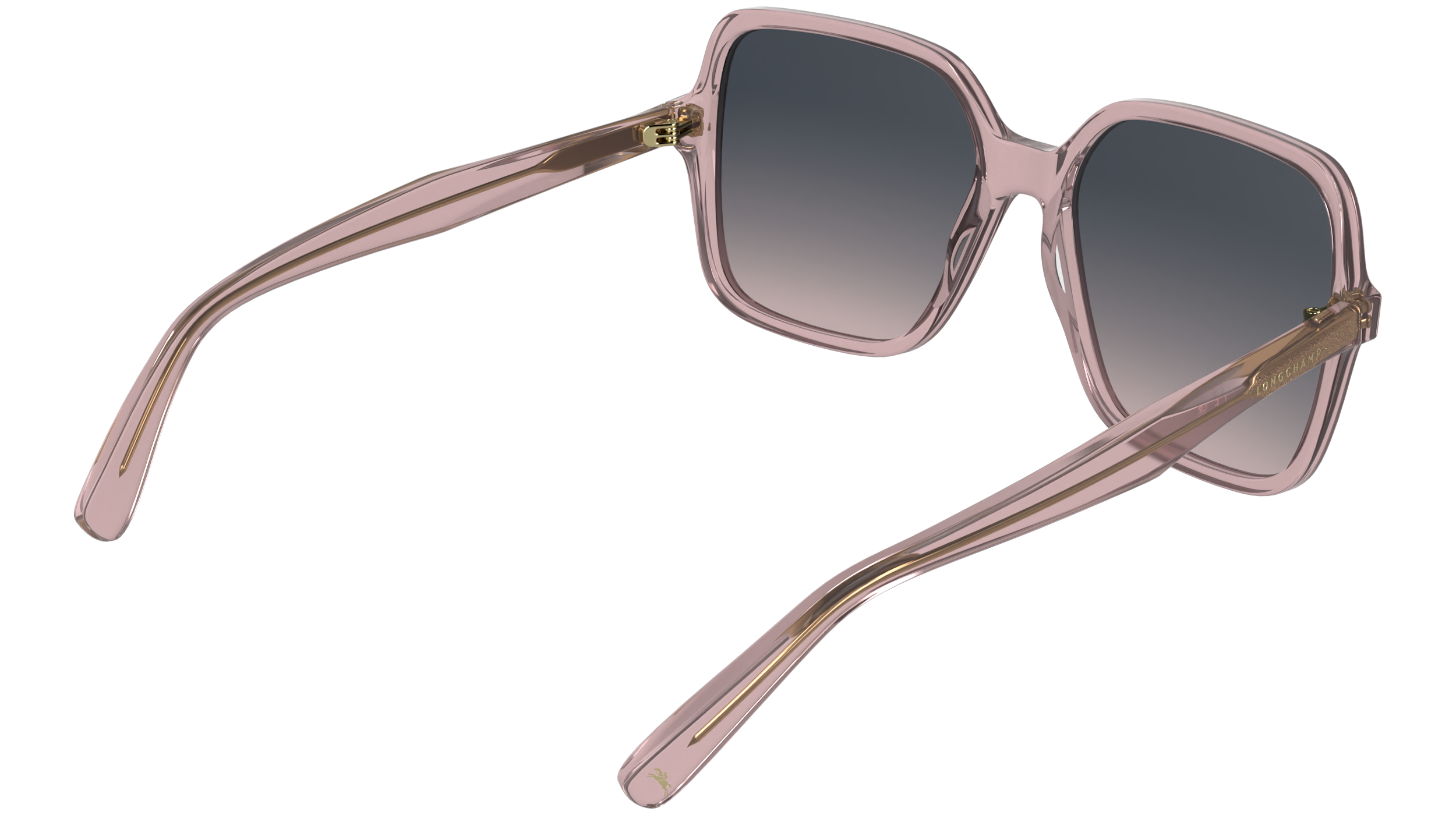 LONGCHAMP LO808S 610