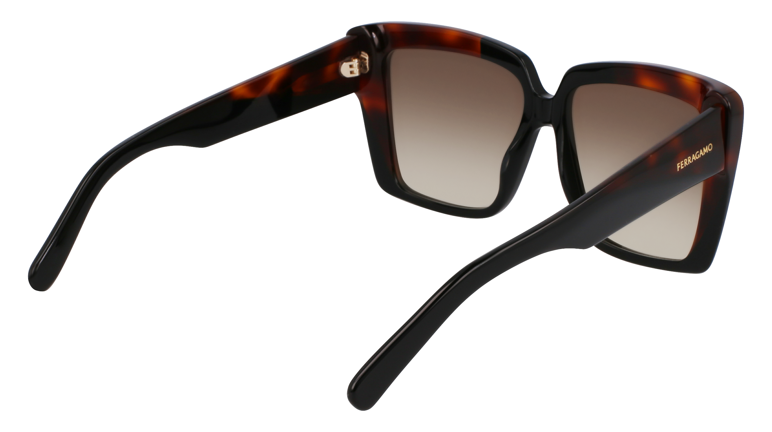 SF1060SN 006 Occhiali da sole Ferragamo 5