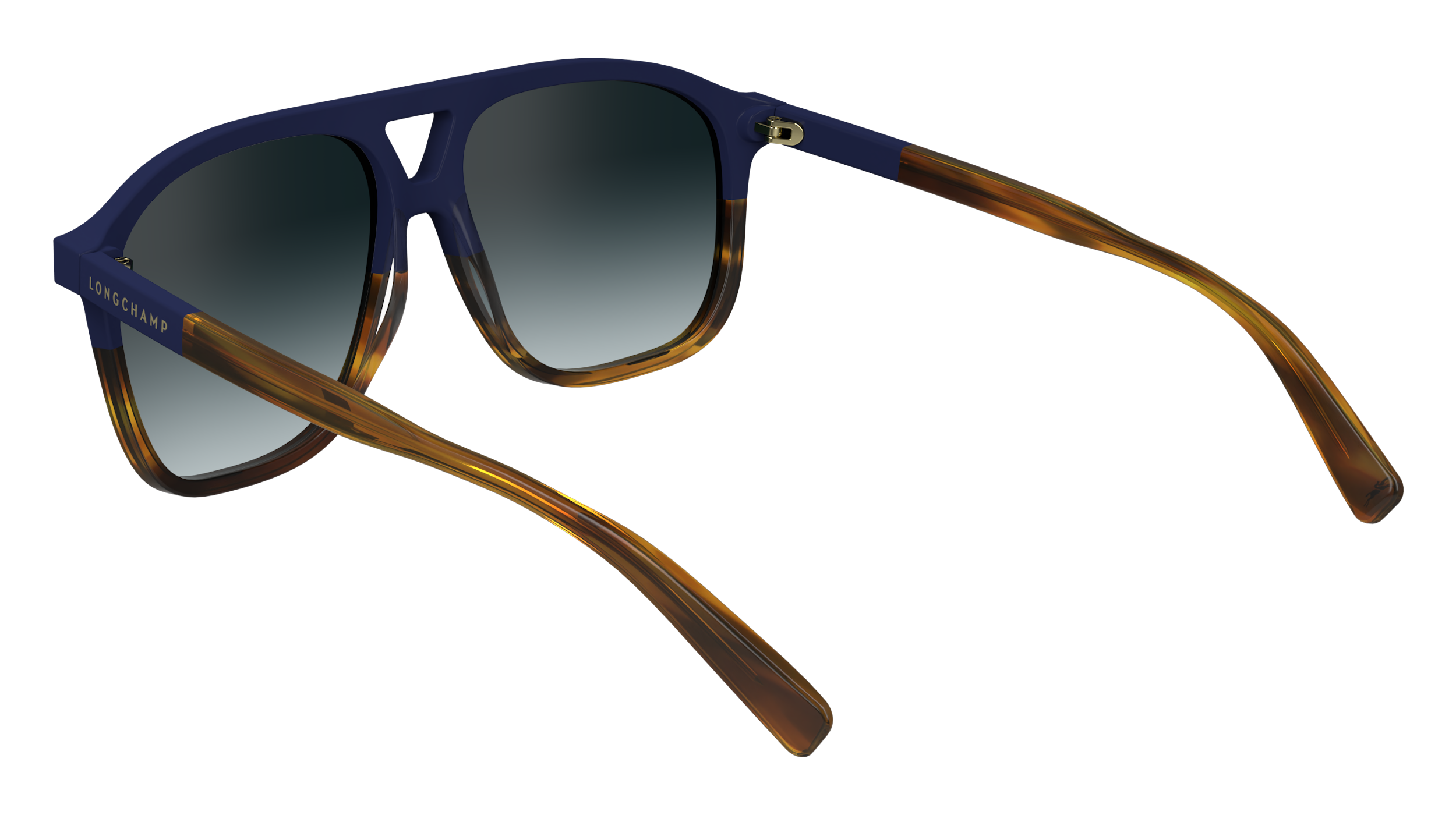 LO751S 430 Occhiali da sole LONGCHAMP 3