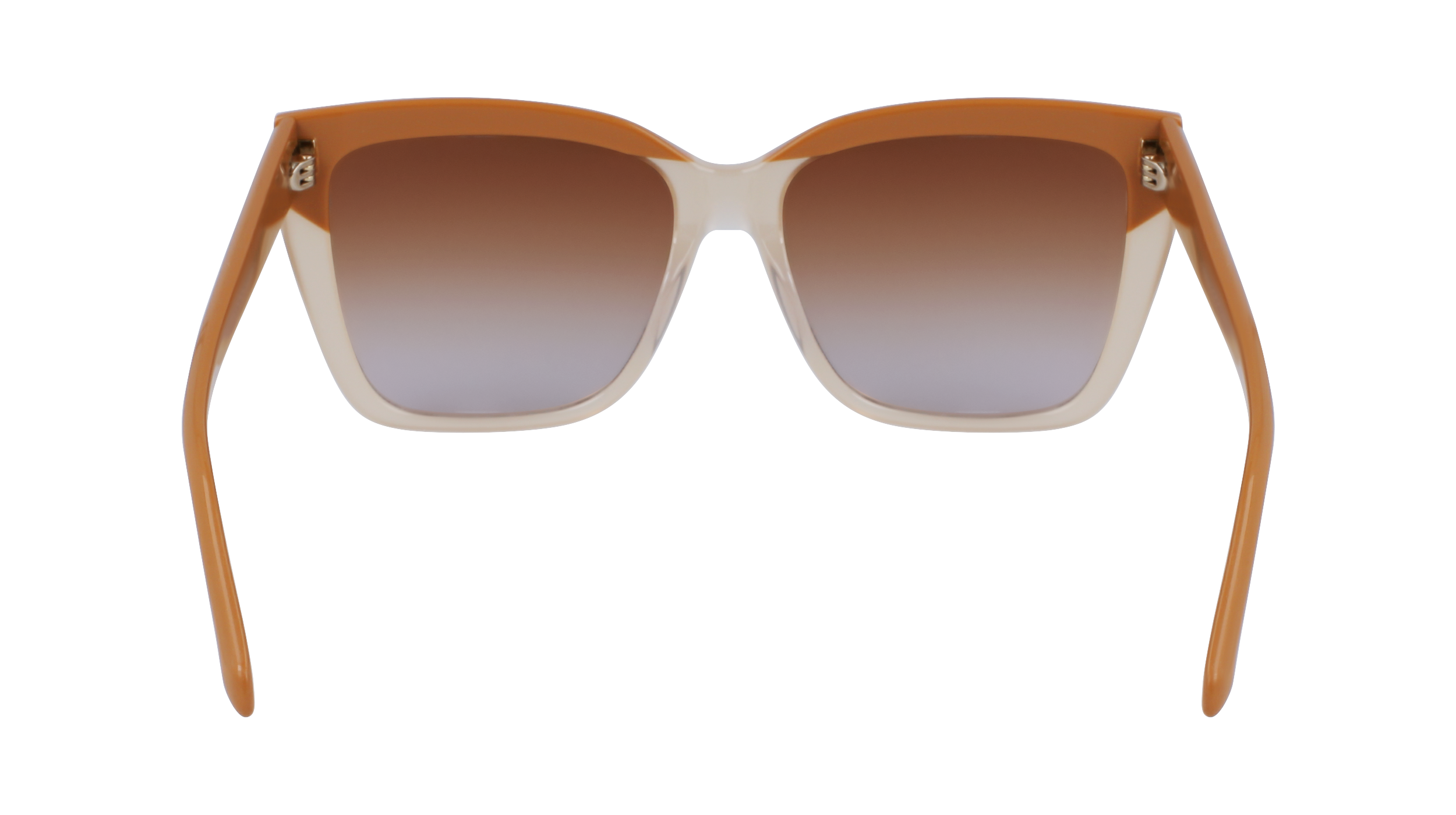 SF1102S 261 Occhiali da sole Ferragamo 10