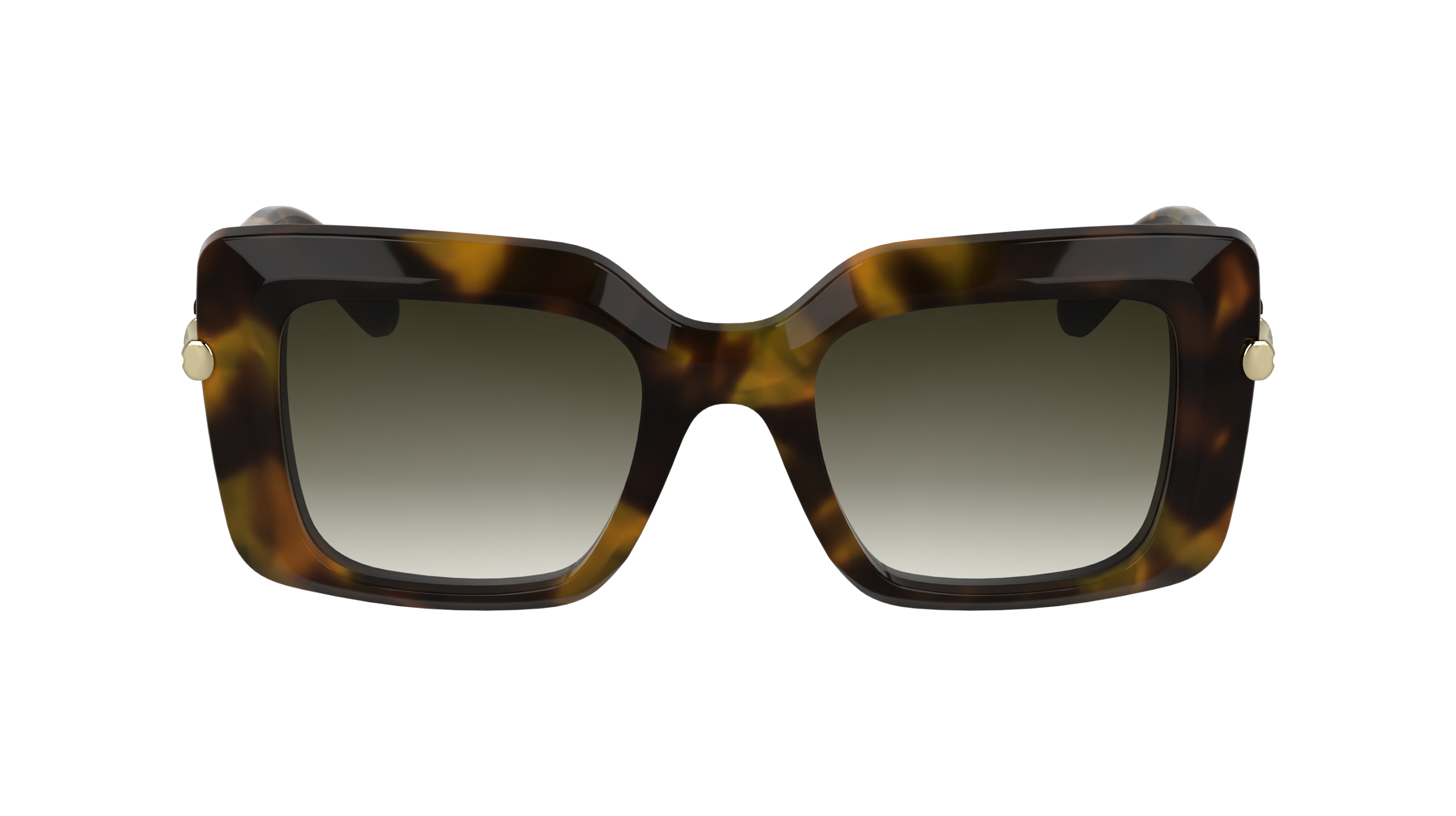 LO776S 205 Occhiali da sole LONGCHAMP 2