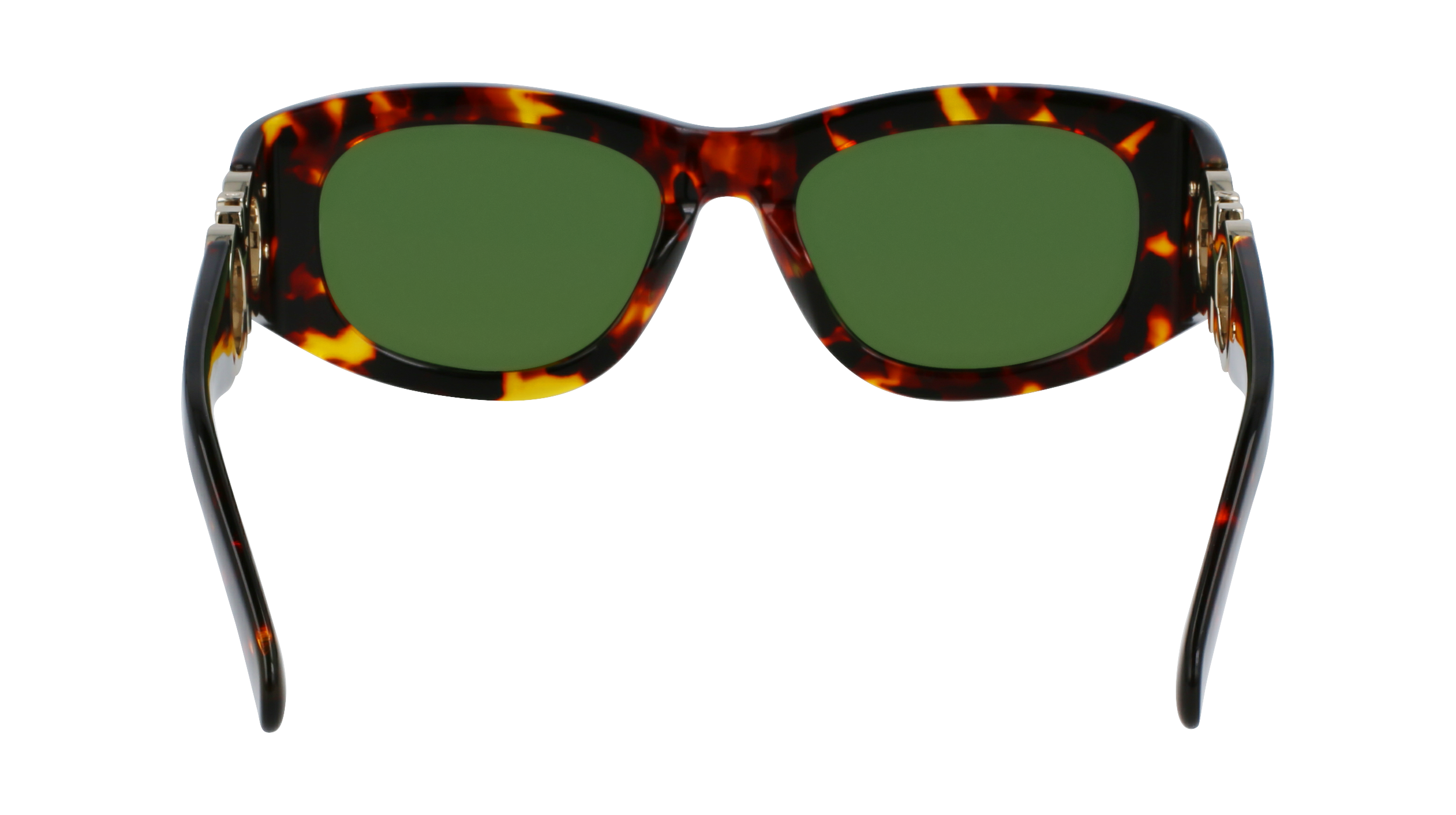 SF1082SN 219 Occhiali da sole Ferragamo 6