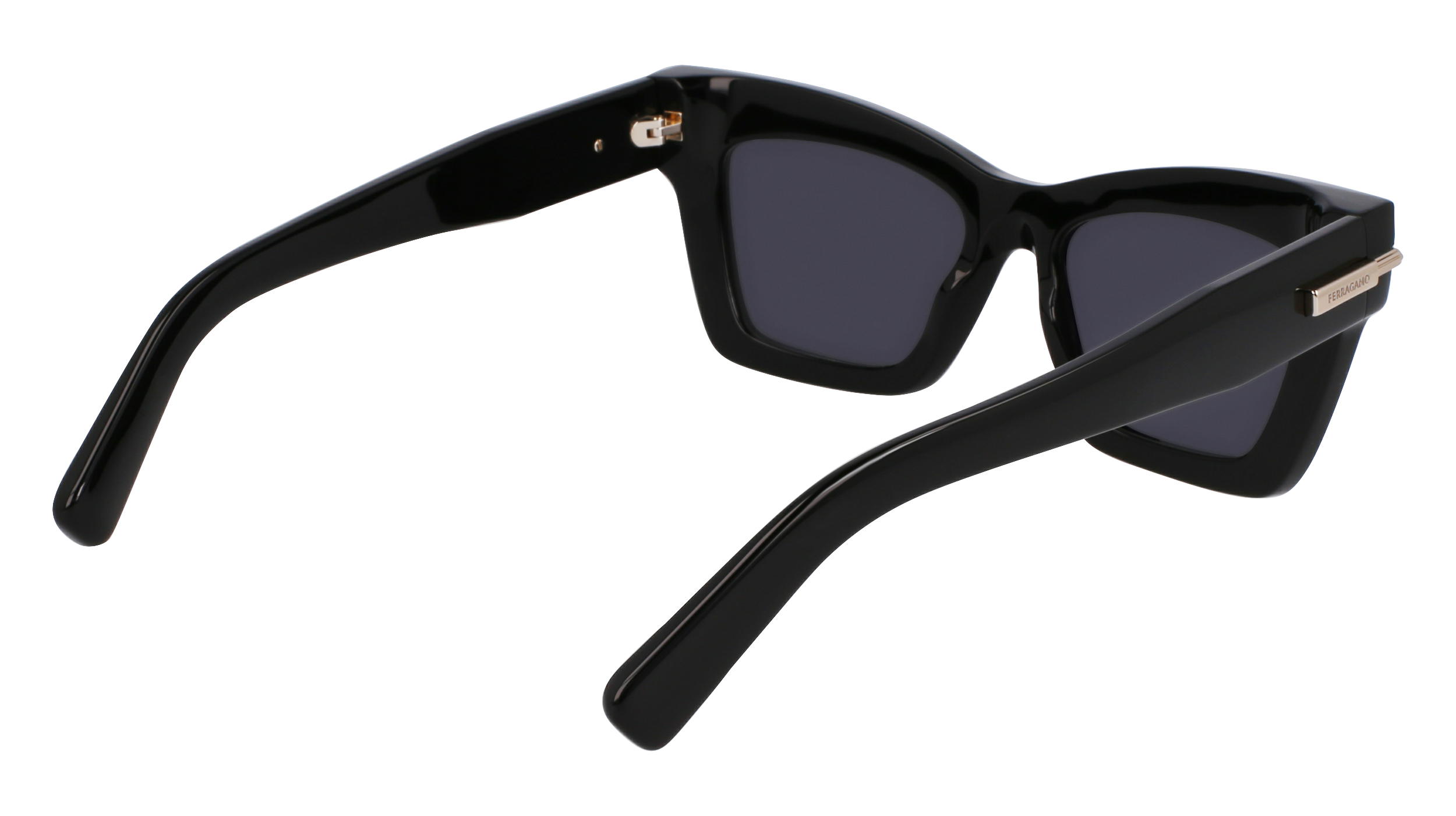 SF2031S 001 Occhiali da sole Ferragamo 5