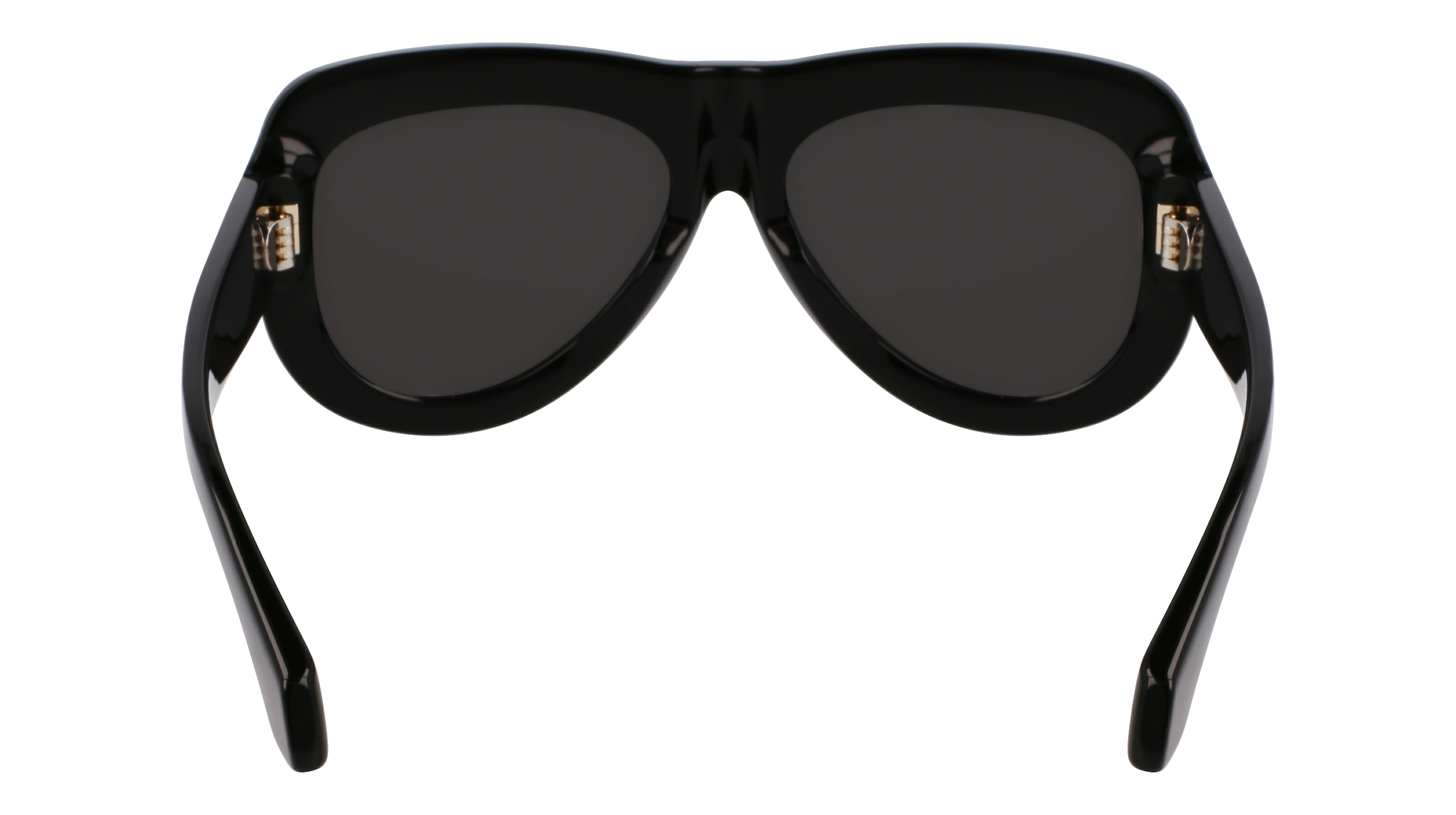 SF2029SE 001 Occhiali da sole Ferragamo 6