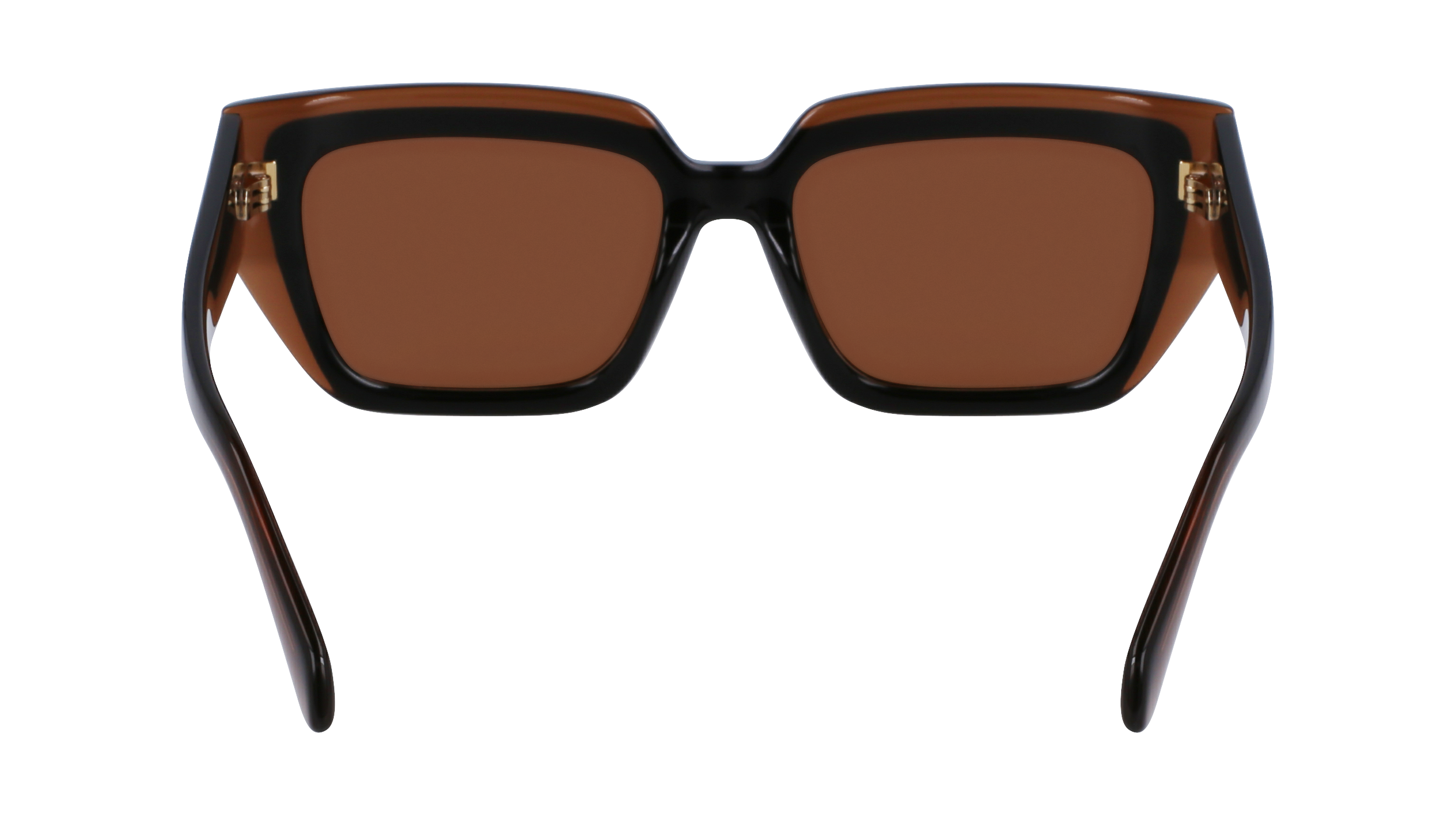 SF2002S 233 Occhiali da sole Ferragamo 6