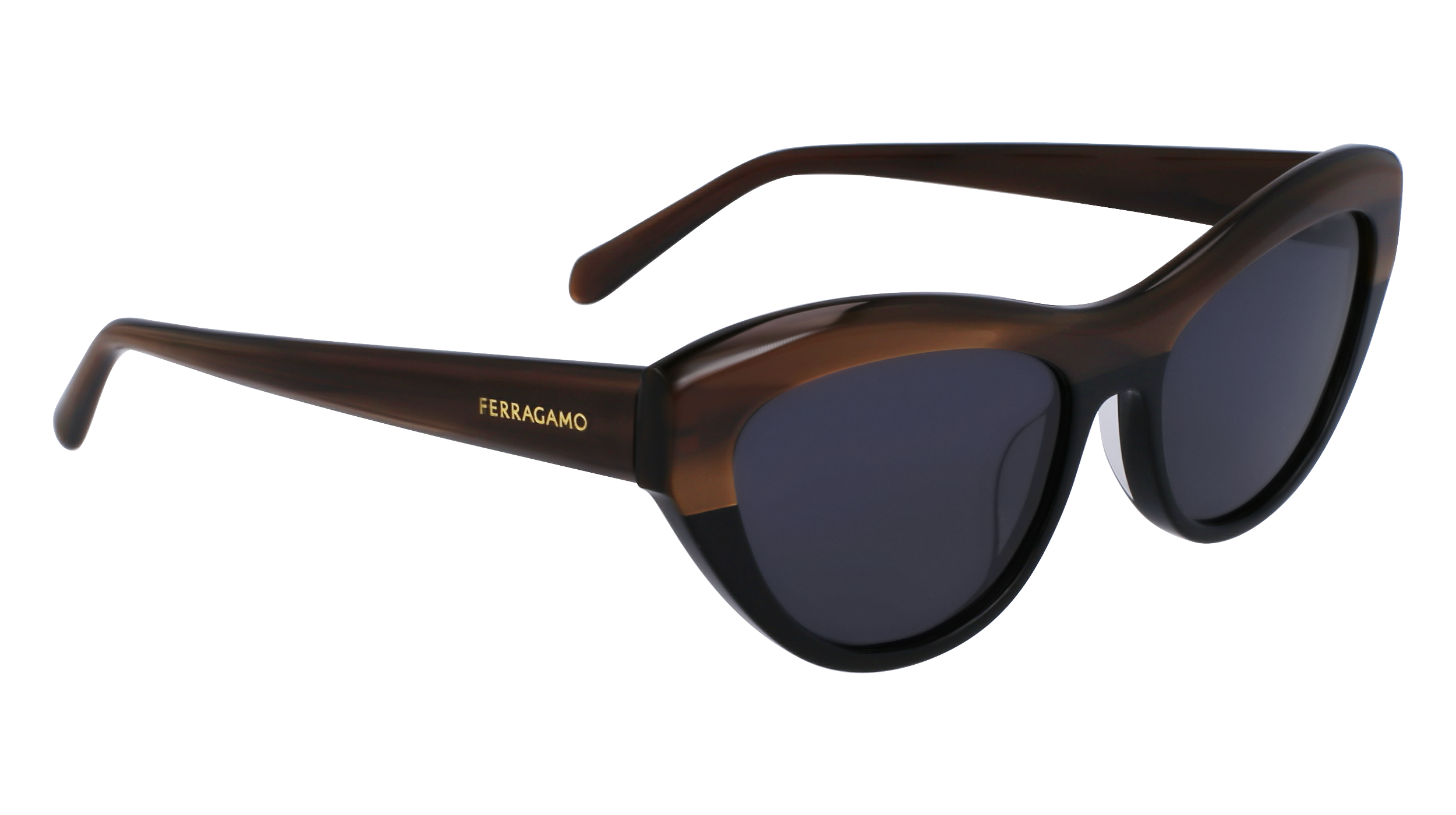 SF1103S 217 Occhiali da sole Ferragamo 8