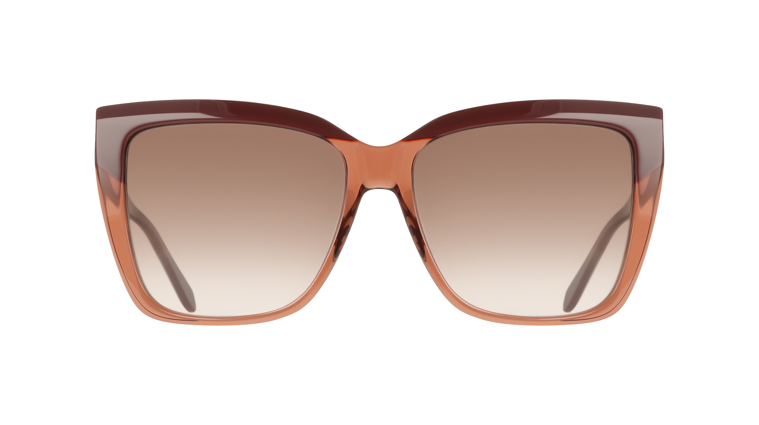 SF1102S 619 Occhiali da sole Ferragamo 2