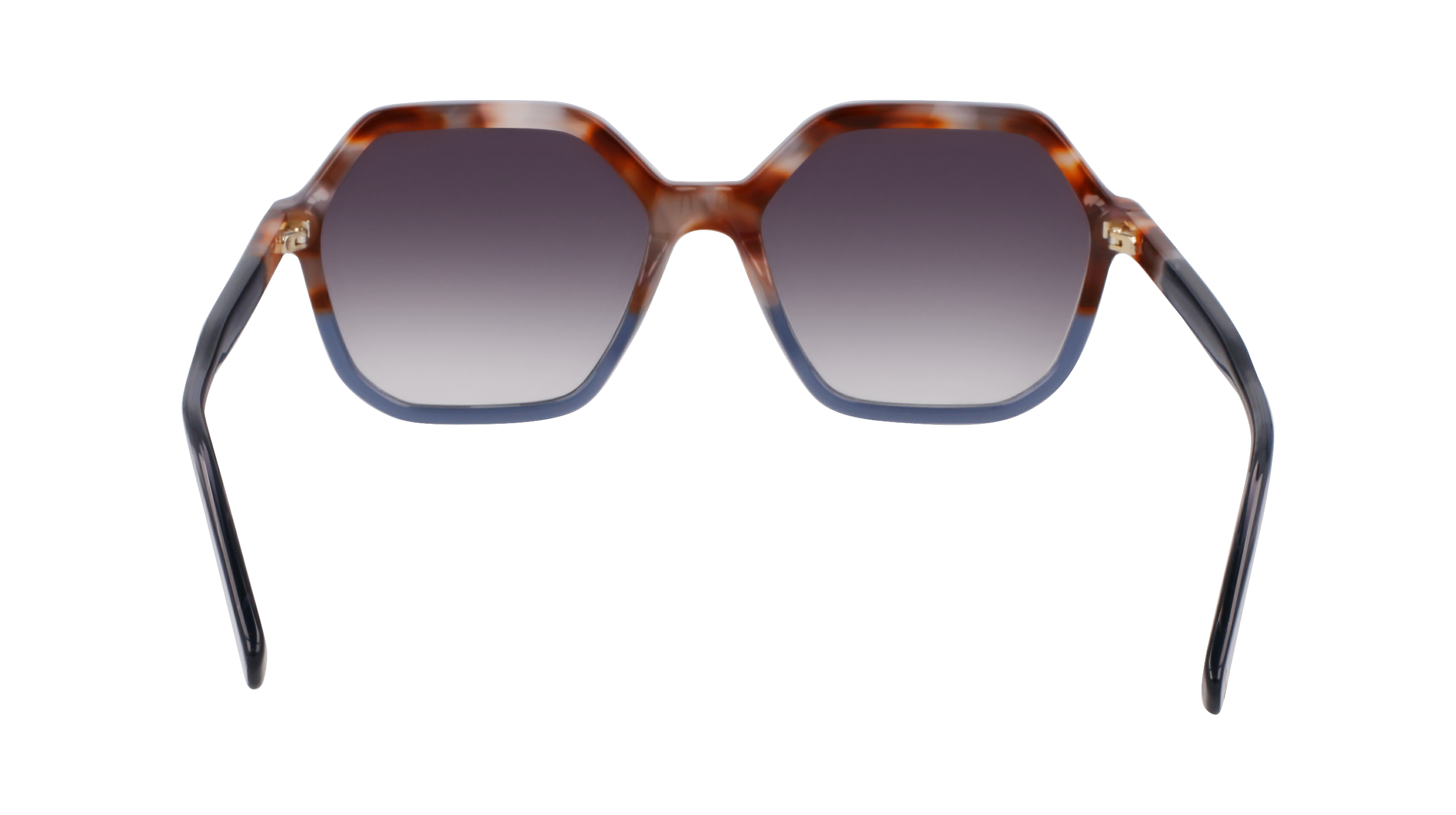 LO760S 261 Occhiali da sole LONGCHAMP 5