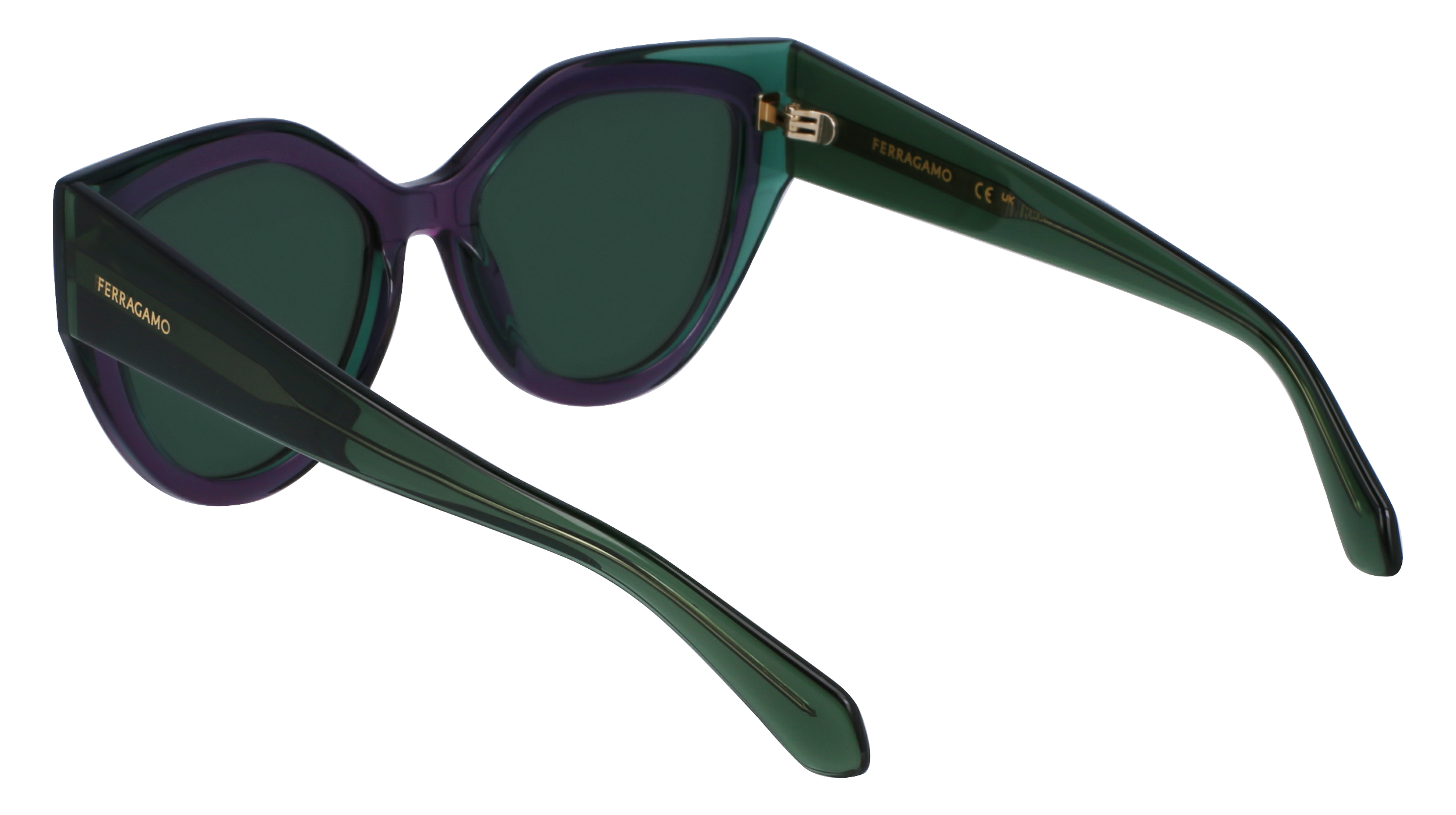 SF2004S 318 Occhiali da sole Ferragamo 3
