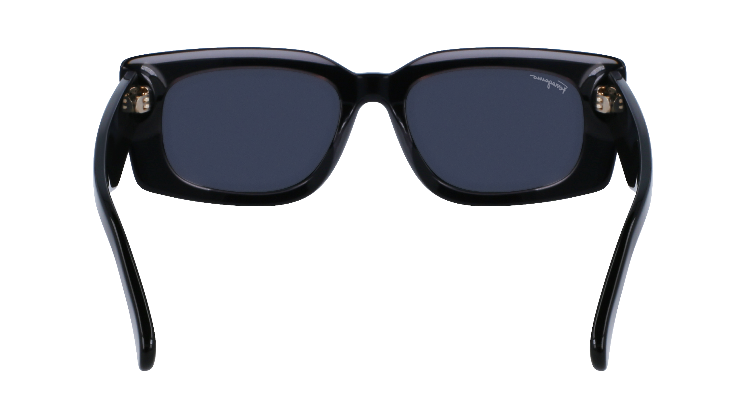 SF1079S 022 Occhiali da sole Ferragamo 5