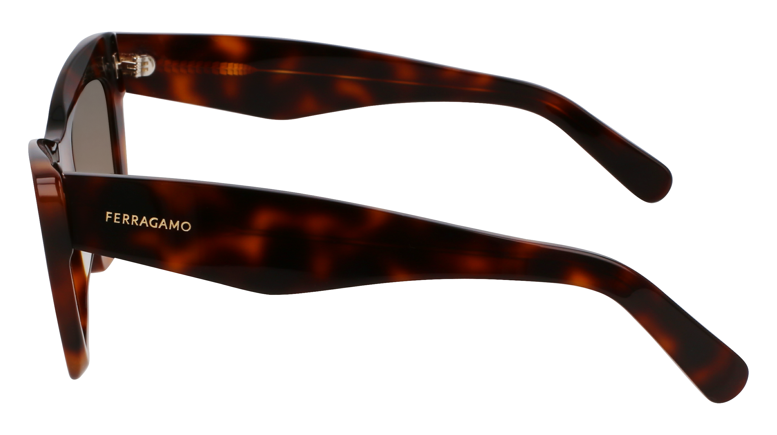 SF929SN 219 Occhiali da sole Ferragamo 4