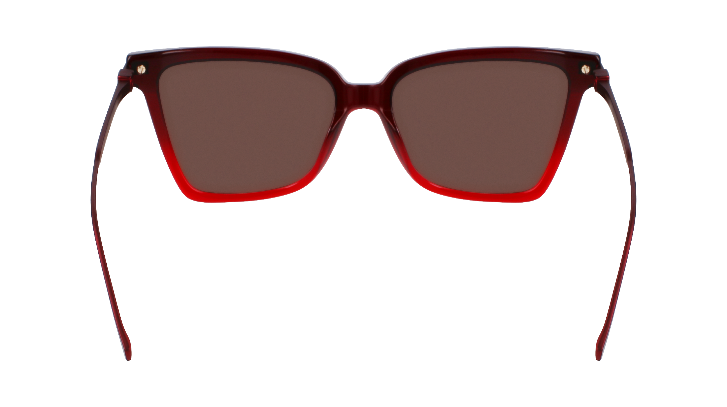 SF2036S 615 Occhiali da sole Ferragamo 6