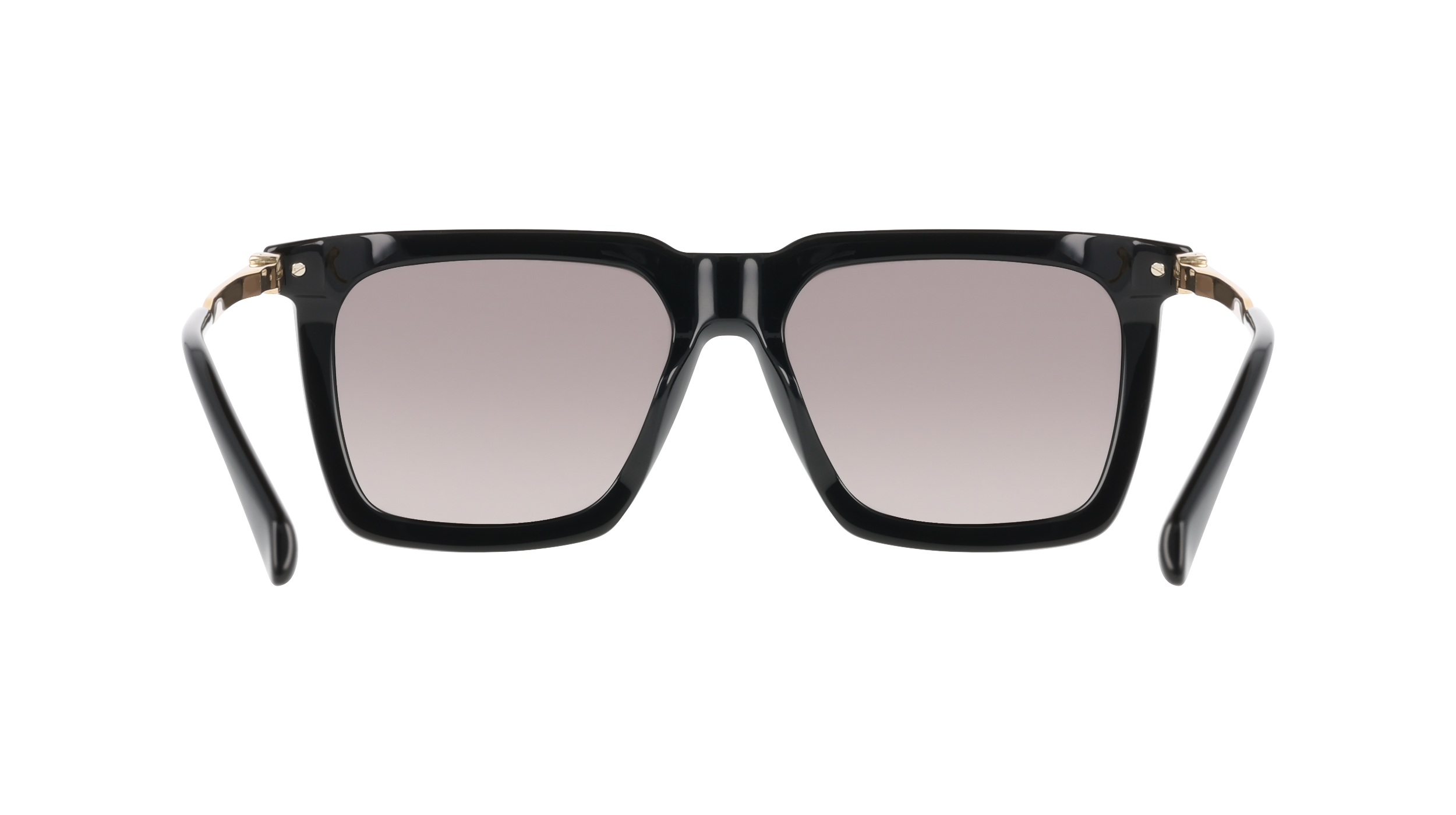 SF2077SLBI 1 Occhiali da sole Ferragamo 5