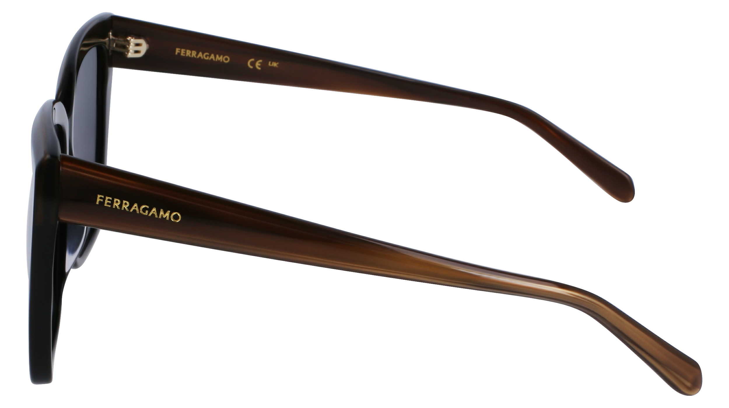 SF1102S 217 Occhiali da sole Ferragamo 6
