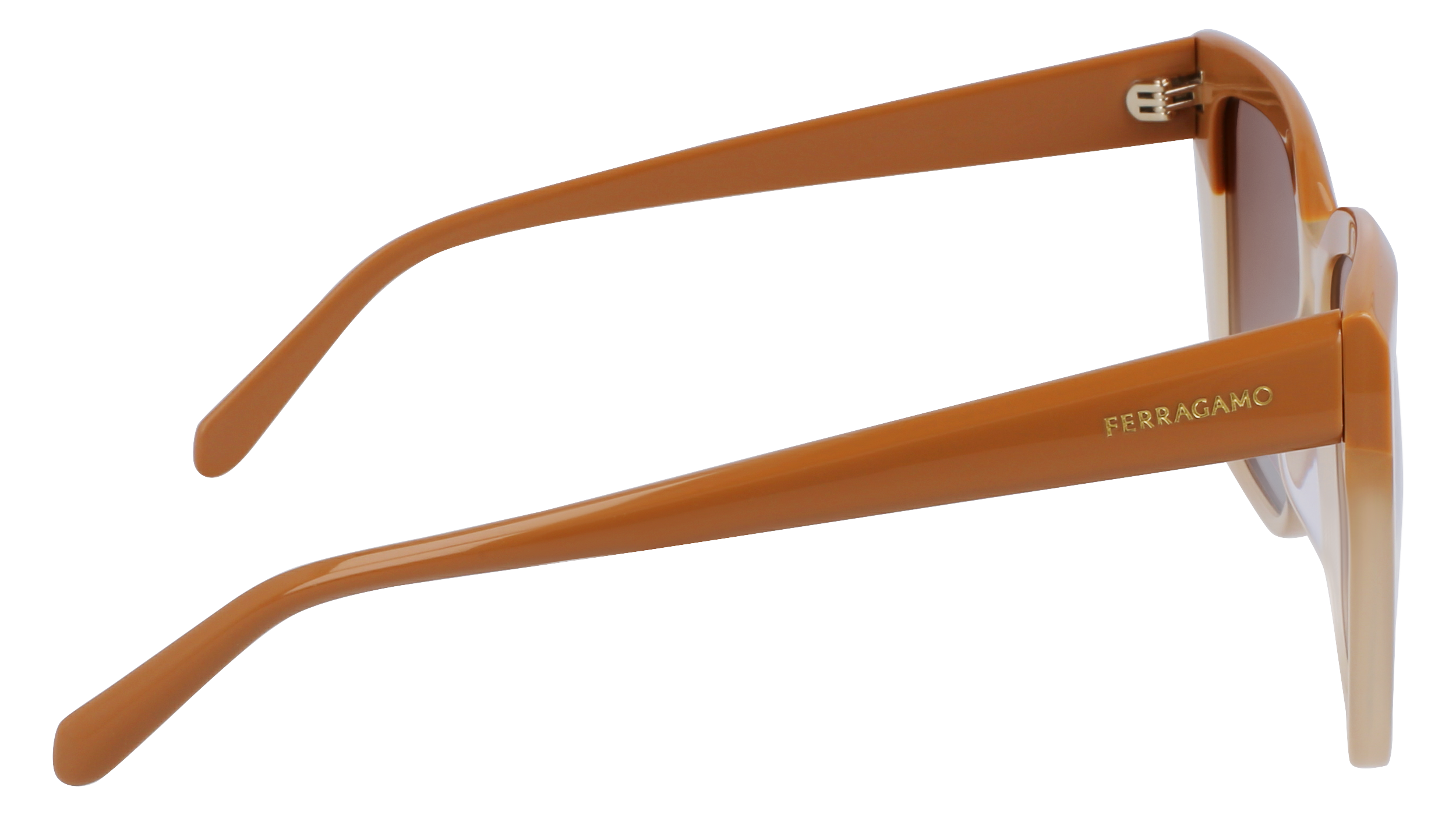 SF1102S 261 Occhiali da sole Ferragamo 8