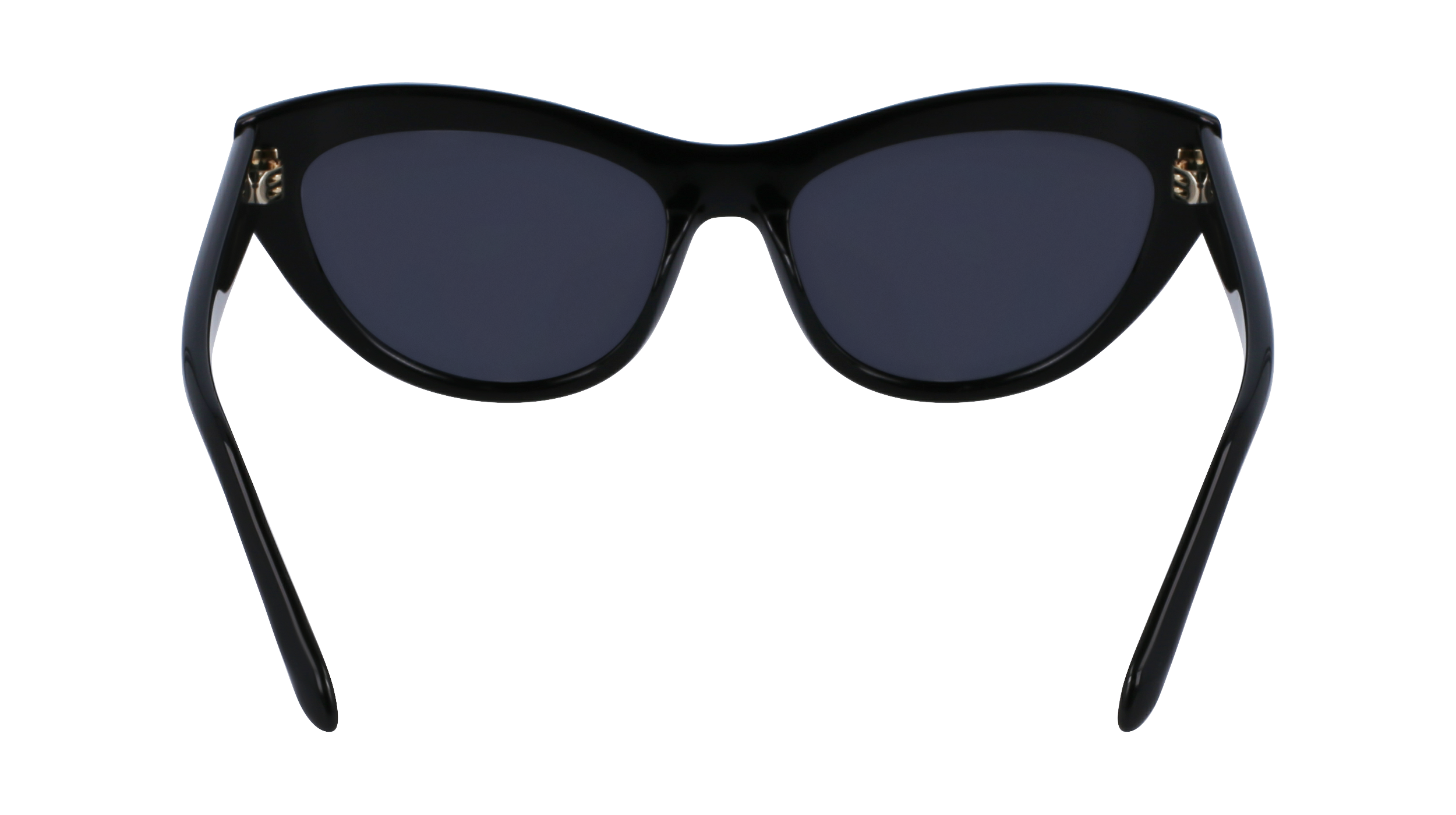 SF1103S 001 Occhiali da sole Ferragamo 7
