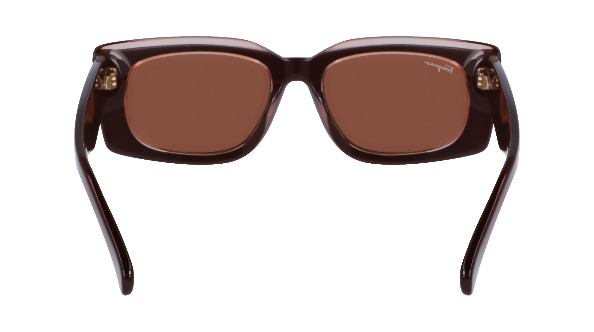SF1079S 211 Occhiali da sole Ferragamo 5